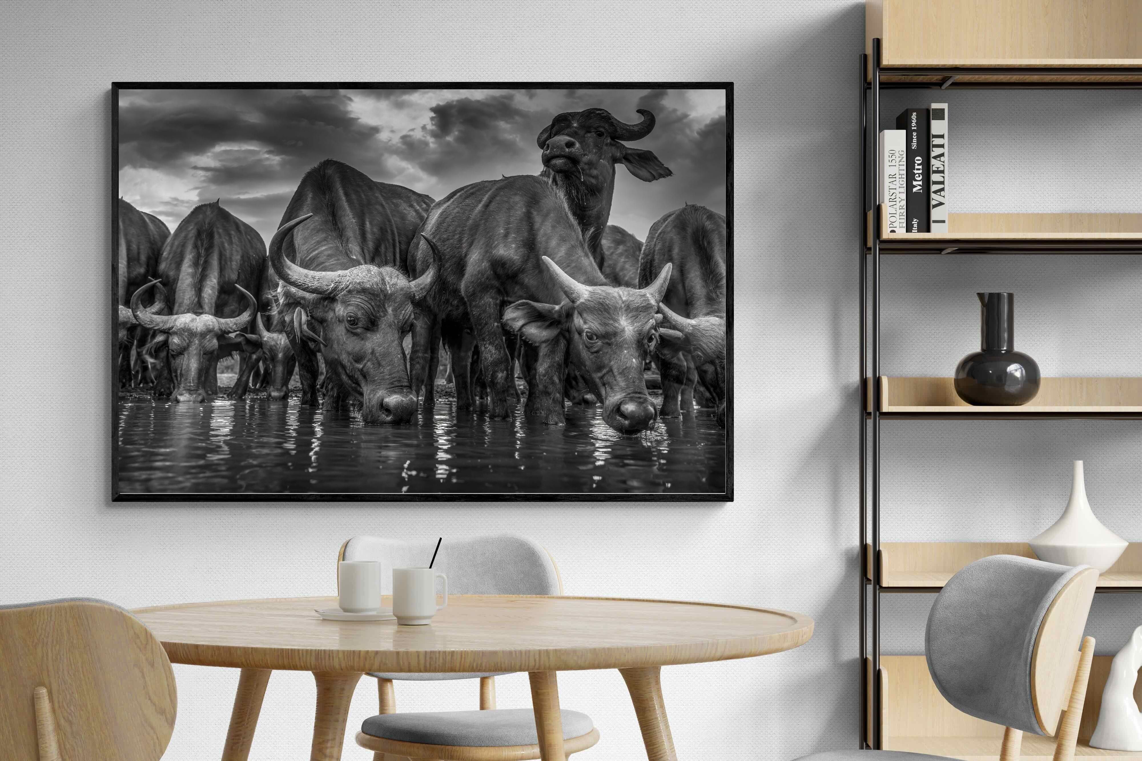 Pixalot Vigilant Herd