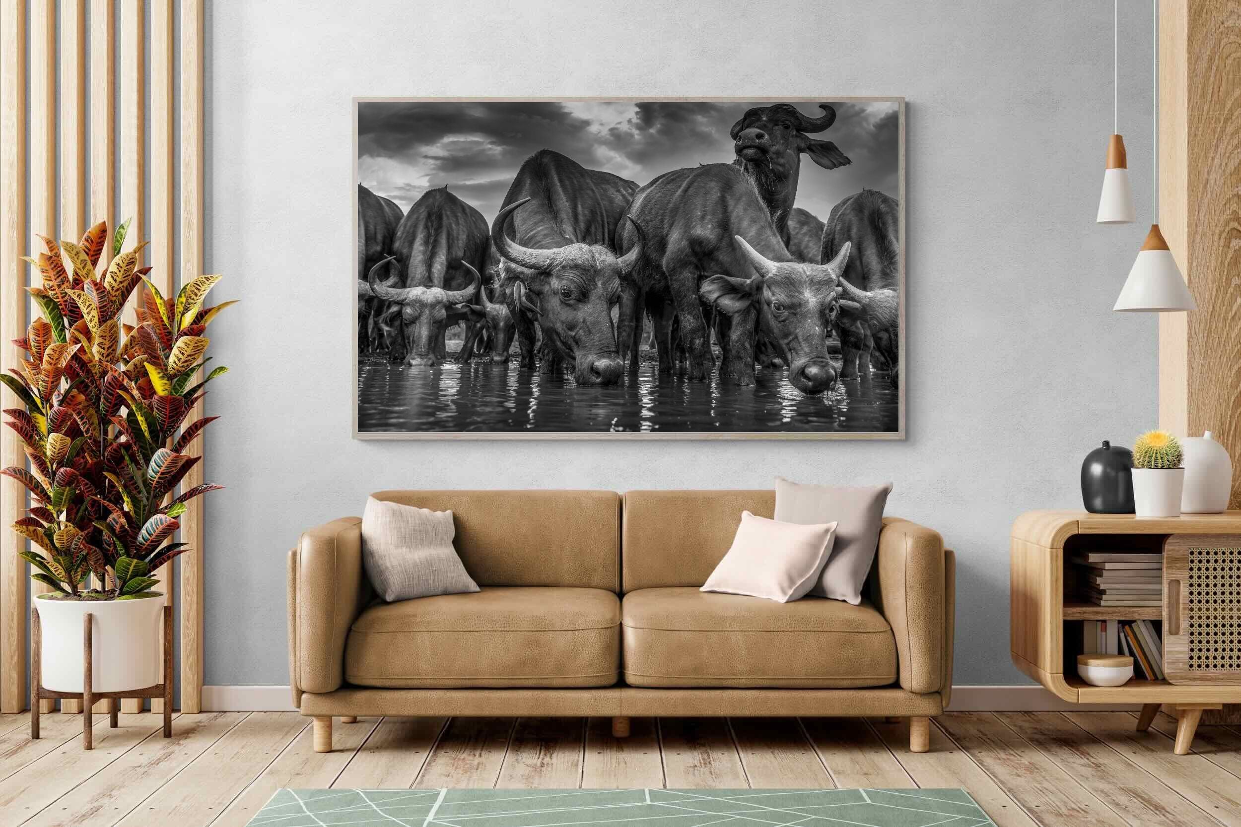 Pixalot Vigilant Herd