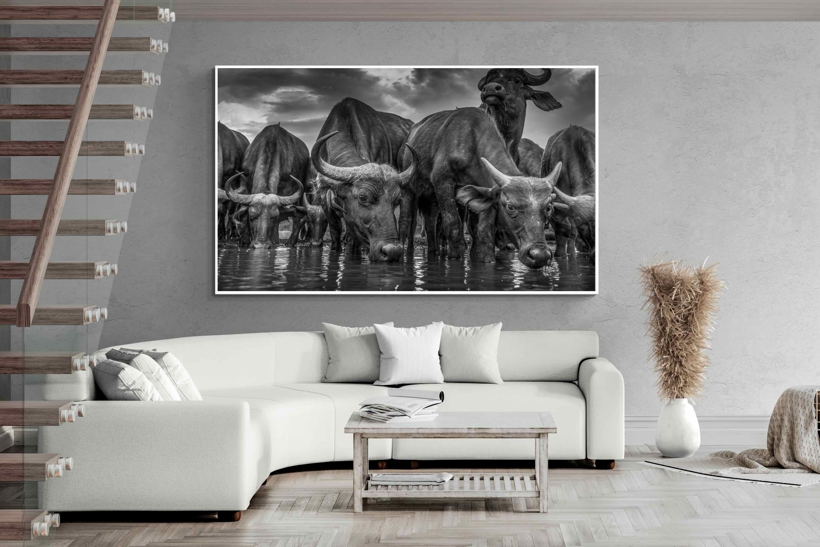 Pixalot Vigilant Herd