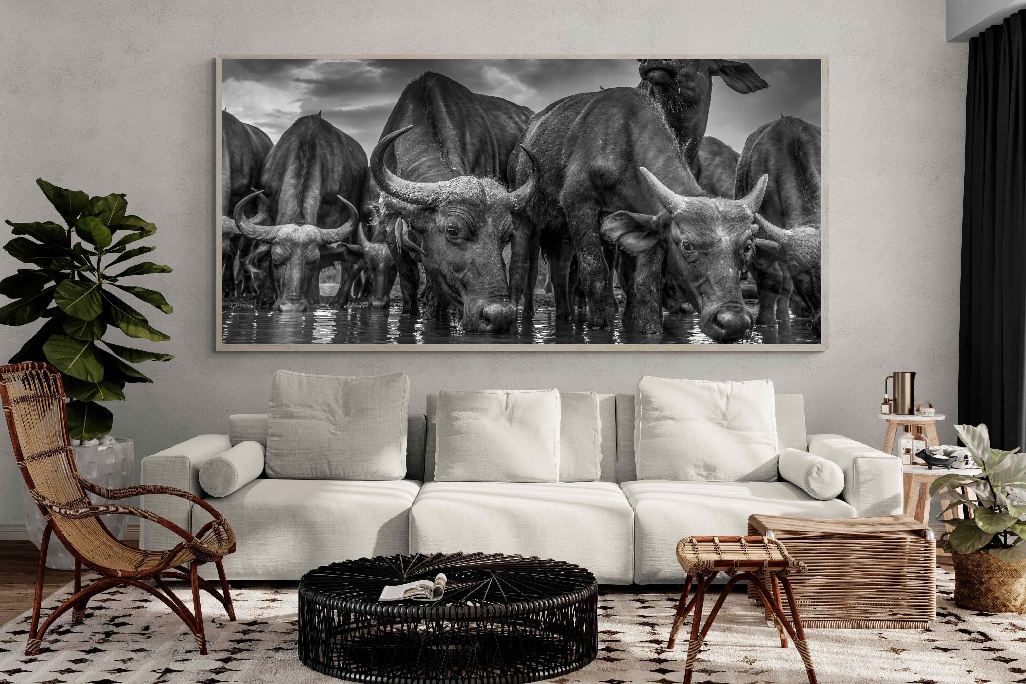 Pixalot Vigilant Herd