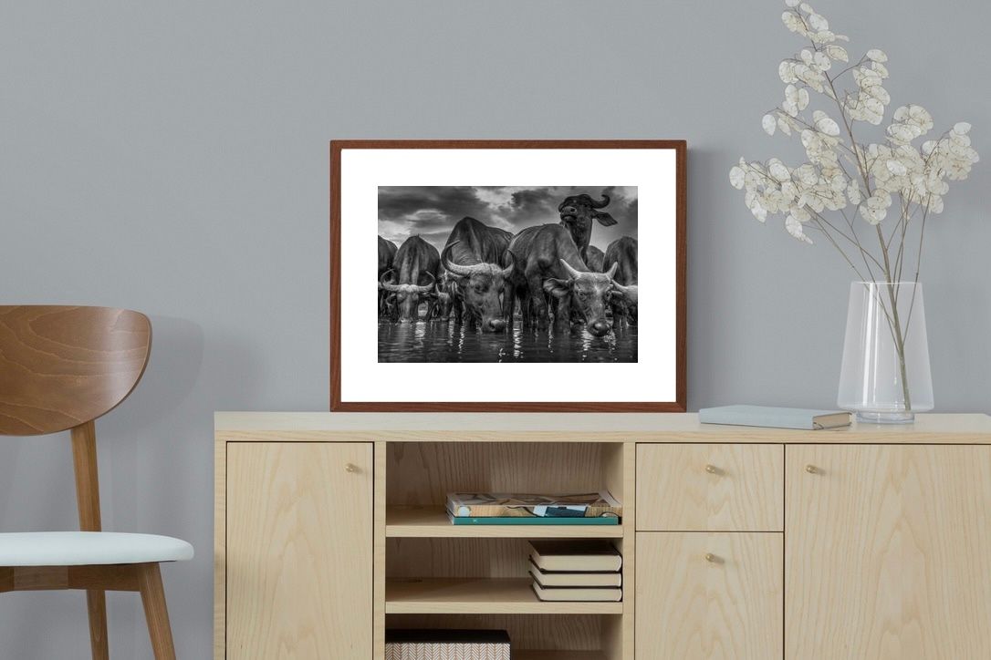 Pixalot ® Vigilant Herd