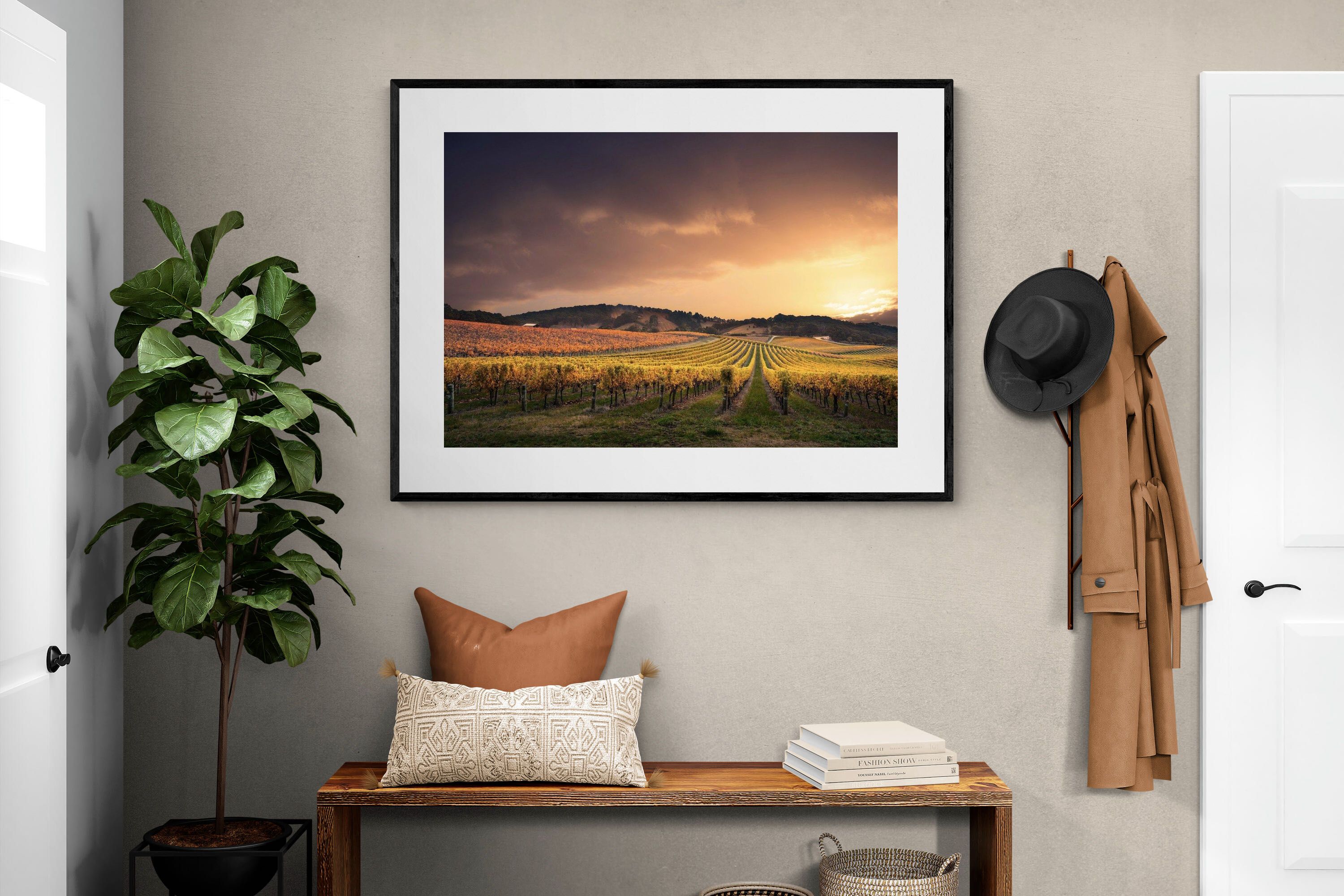 Pixalot ® Vineyards