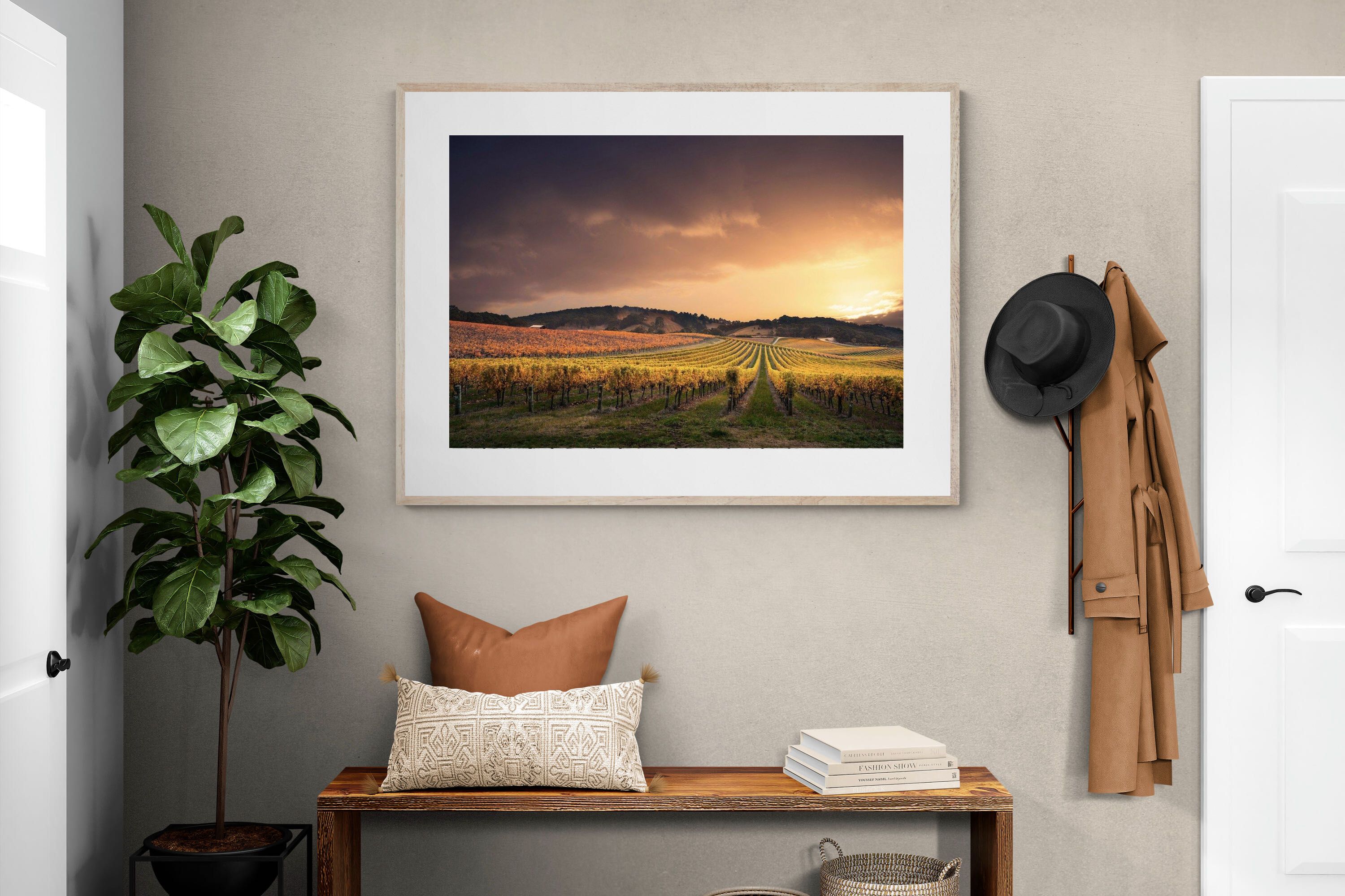 Pixalot ® Vineyards