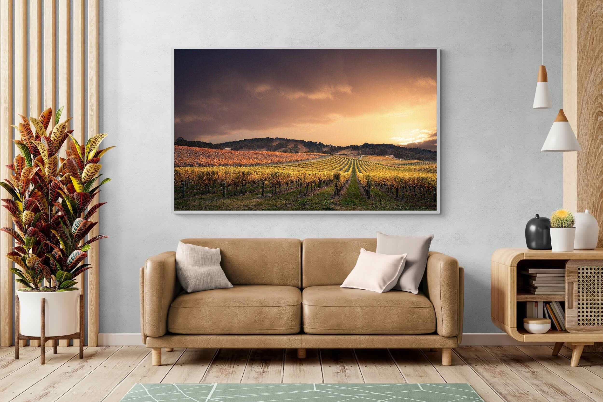 Pixalot ® Vineyards