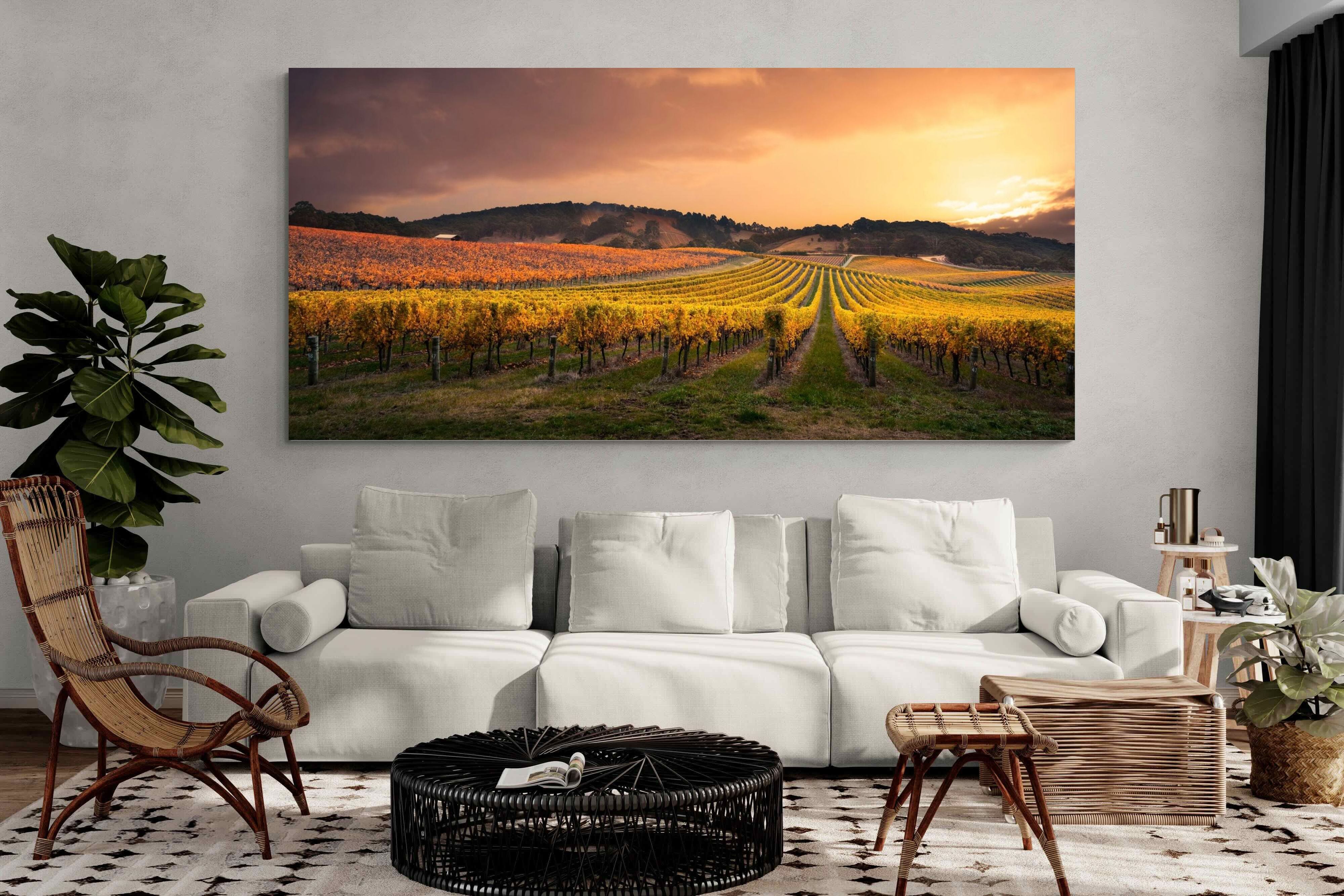 Pixalot ® Vineyards