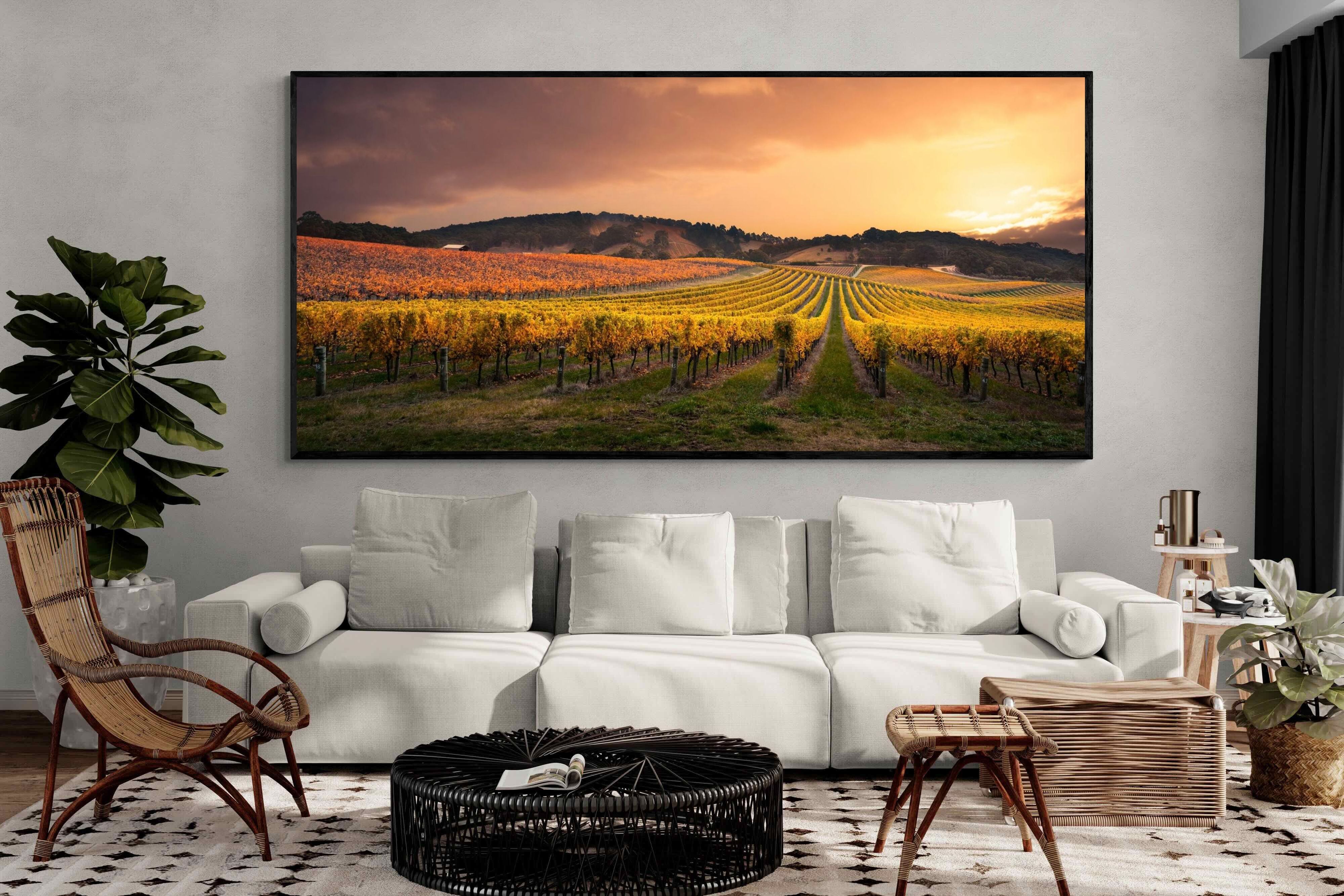 Pixalot ® Vineyards