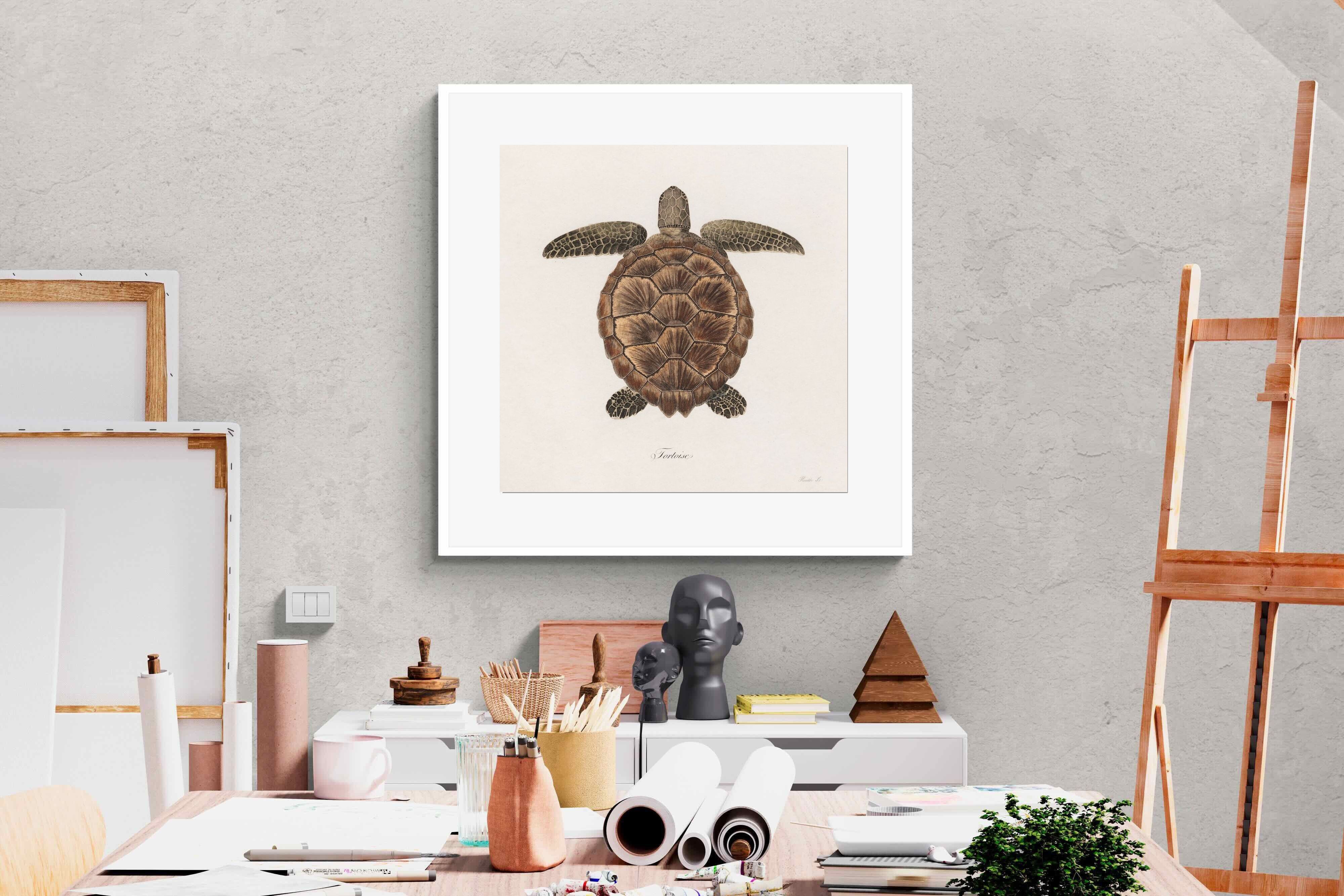 Pixalot Vintage Tortoise