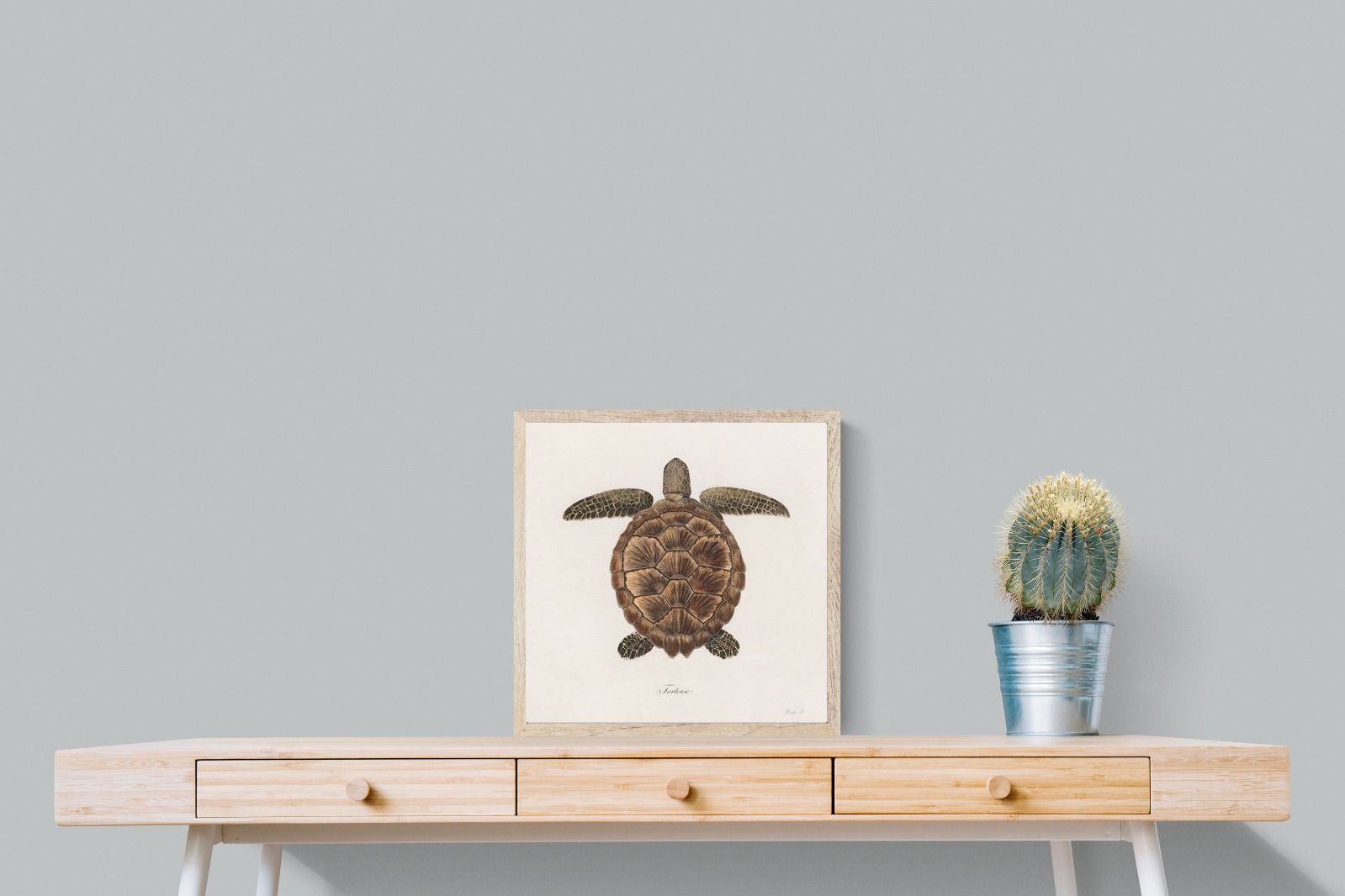 Pixalot Vintage Tortoise