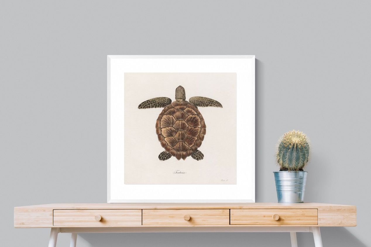 Pixalot Vintage Tortoise