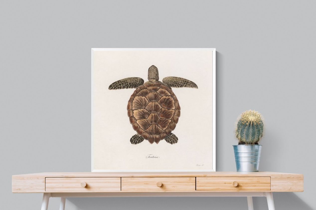 Pixalot Vintage Tortoise
