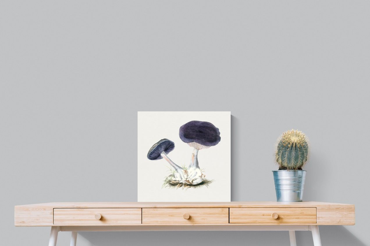 Pixalot Violet Webcap Mushroom