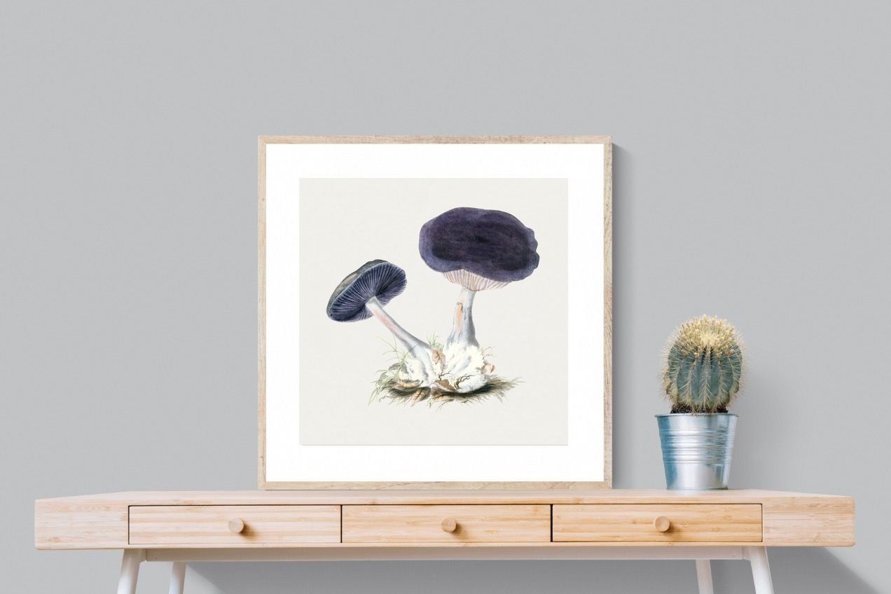 Pixalot Violet Webcap Mushroom