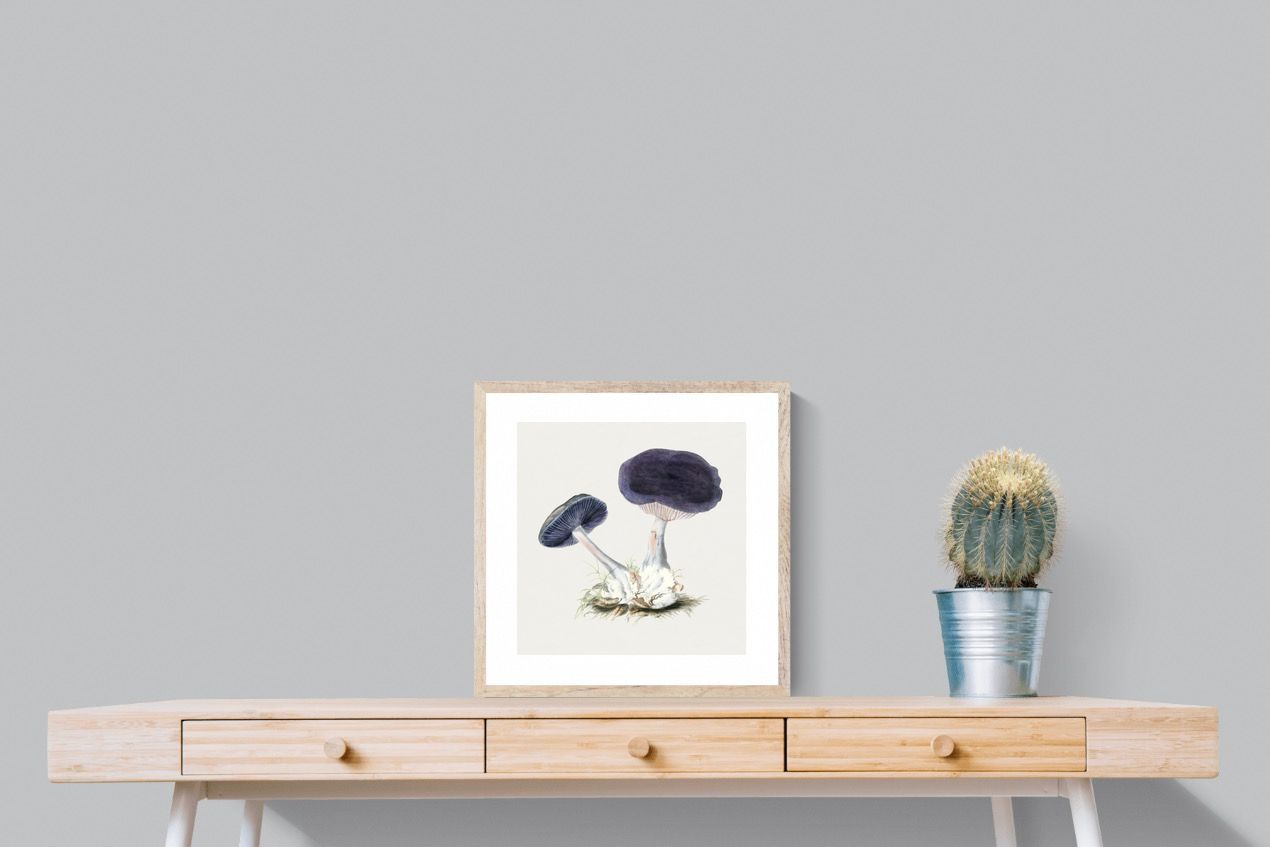 Pixalot Violet Webcap Mushroom