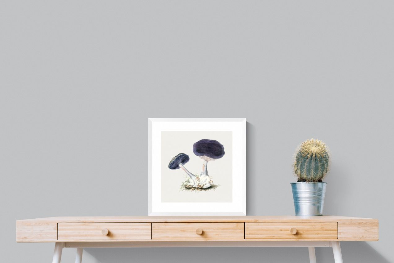 Pixalot Violet Webcap Mushroom