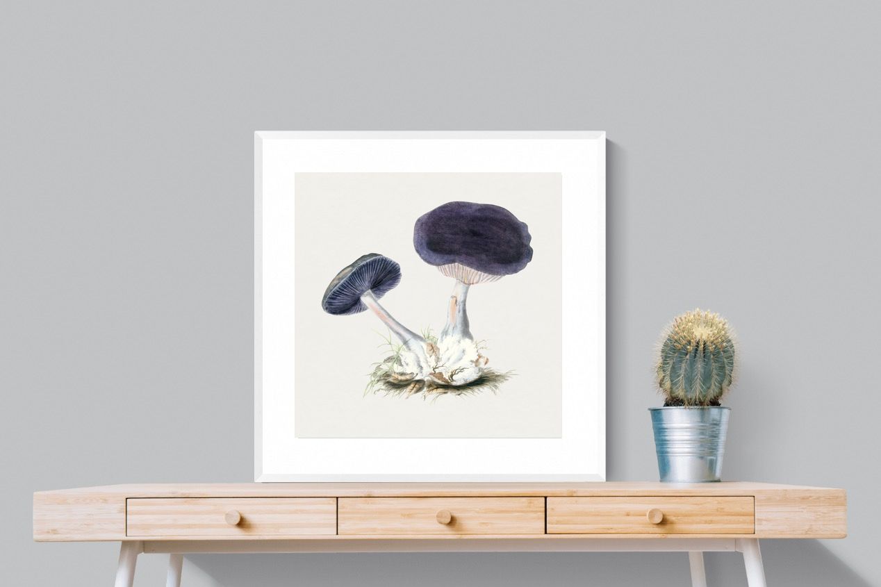 Pixalot Violet Webcap Mushroom