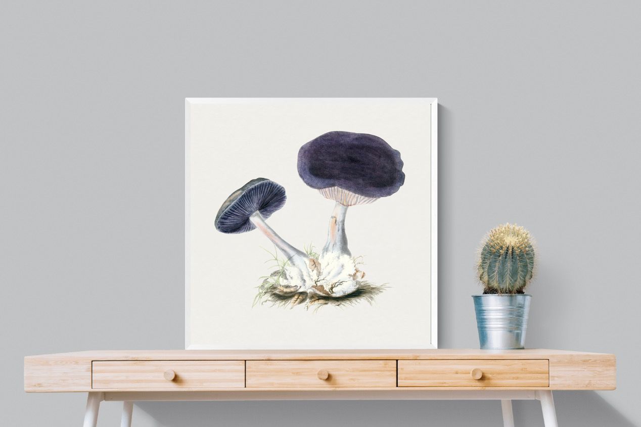 Pixalot Violet Webcap Mushroom