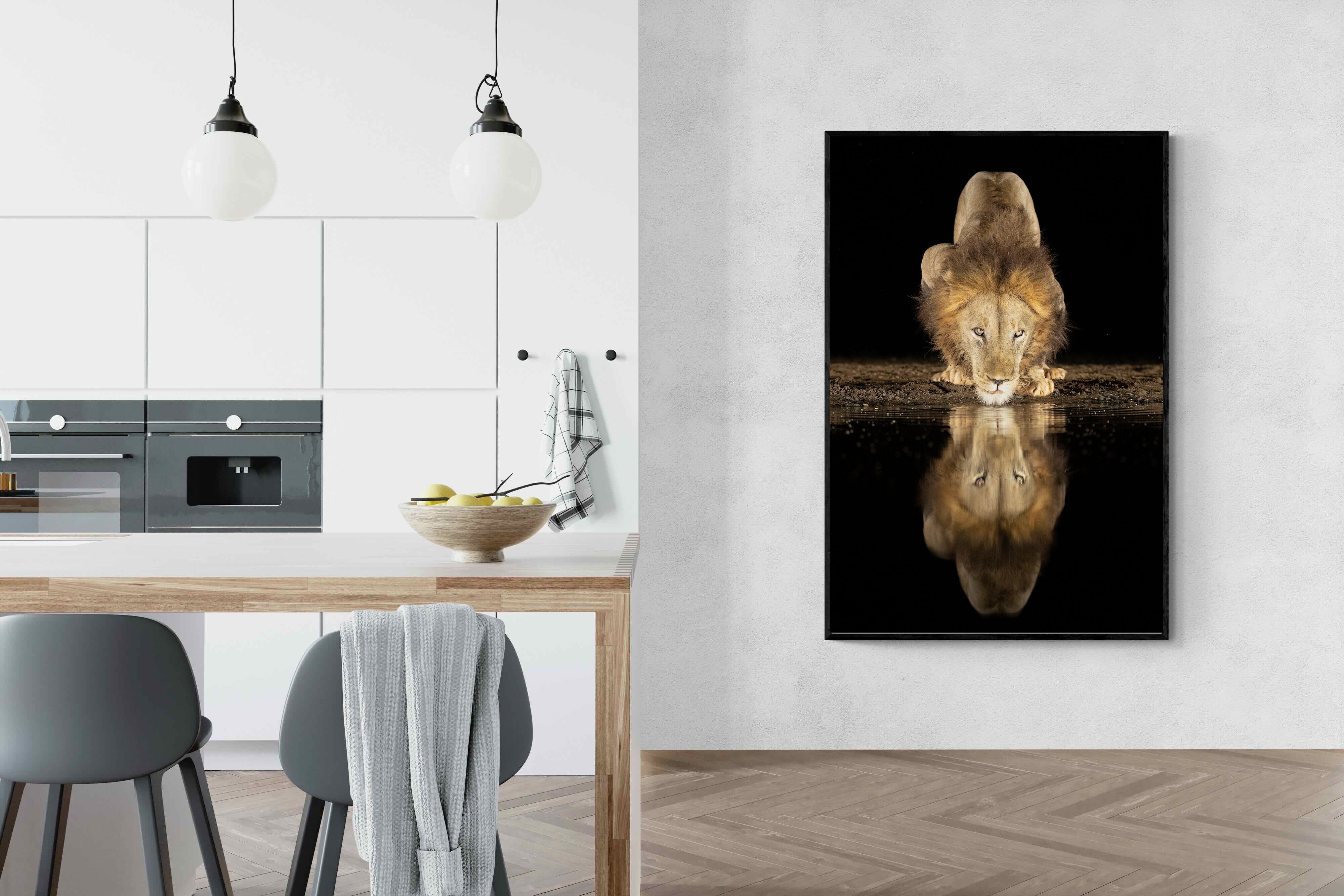 Pixalot Waterhole King