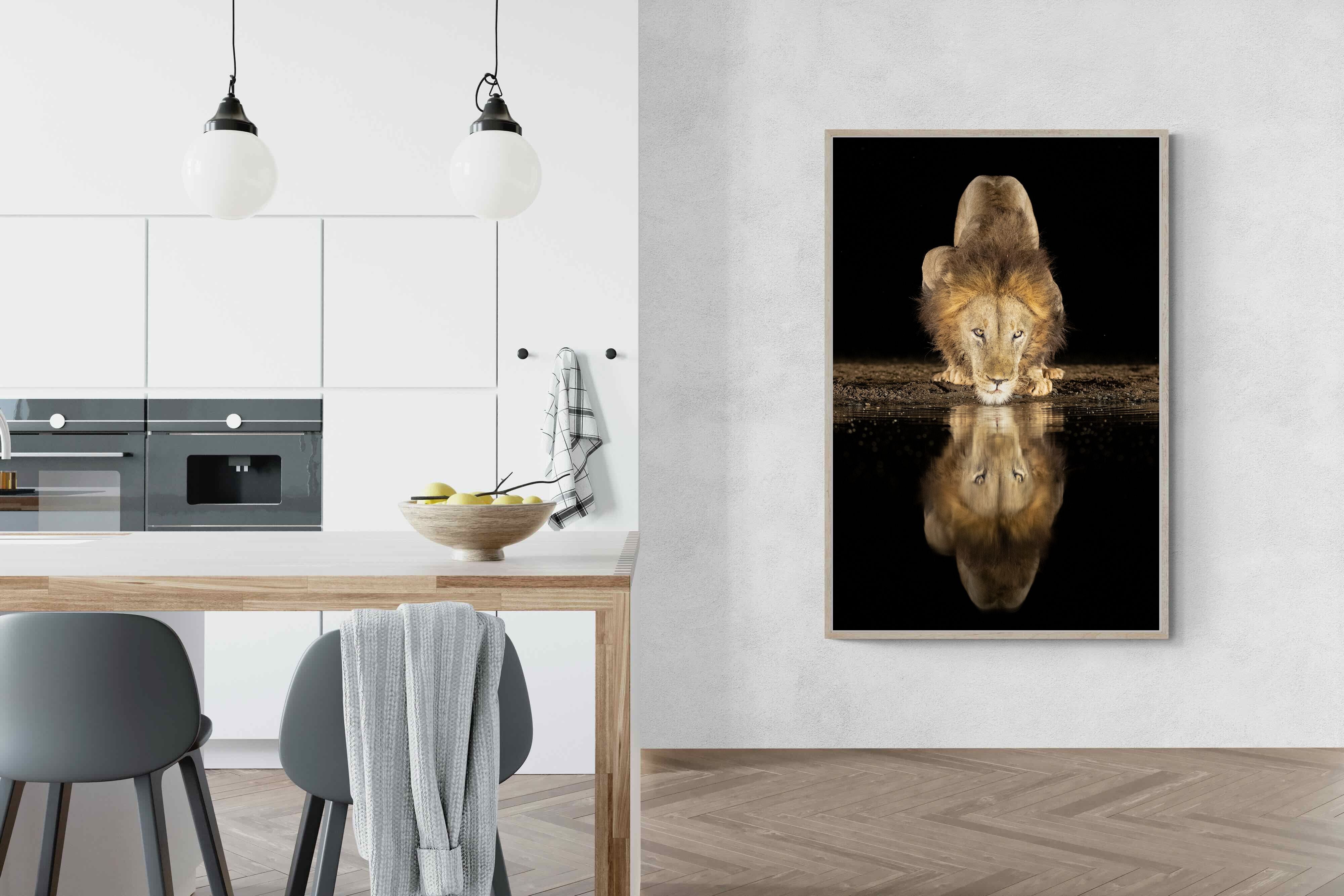 Pixalot Waterhole King