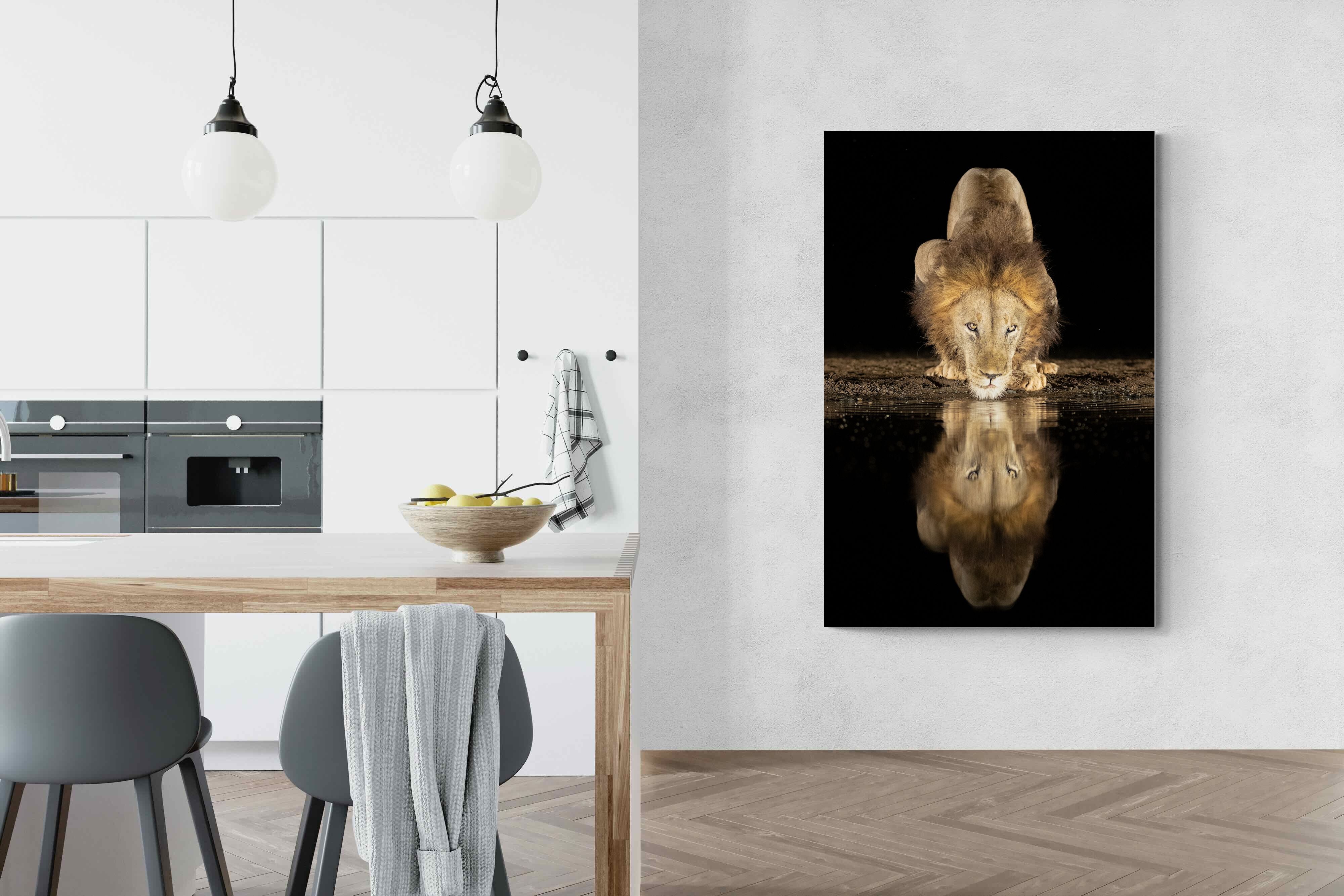 Pixalot Waterhole King