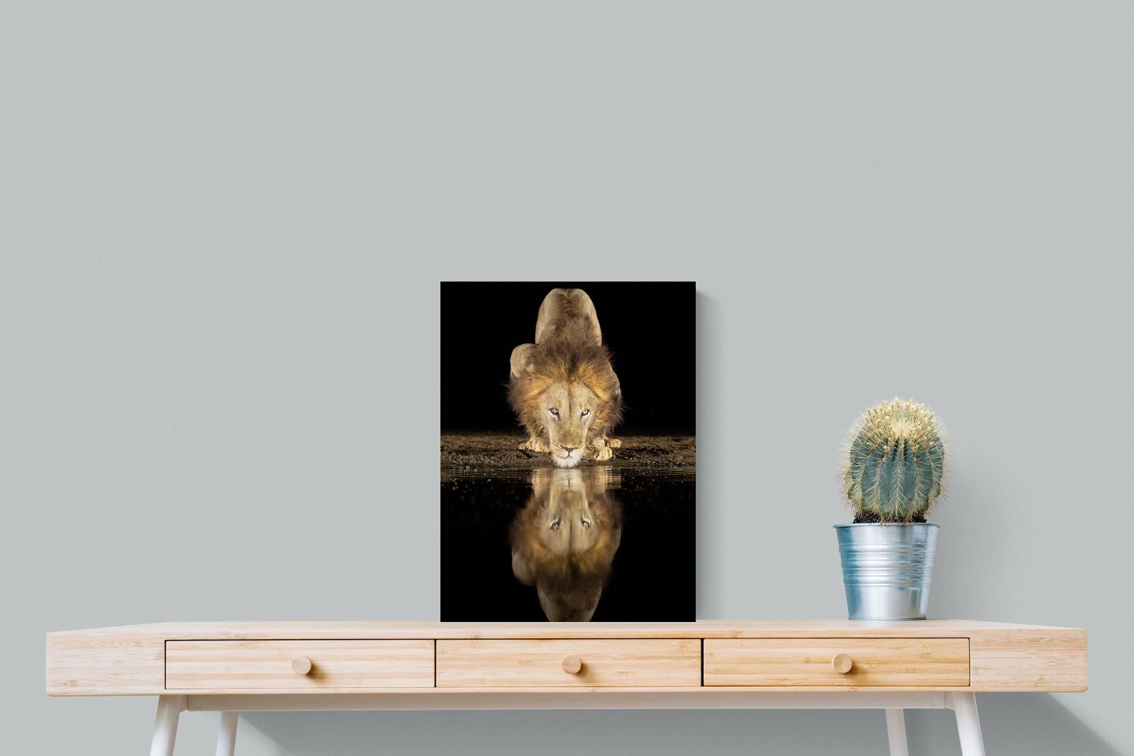 Pixalot Waterhole King