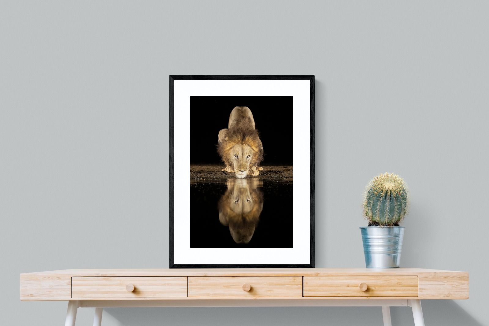 Pixalot Waterhole King