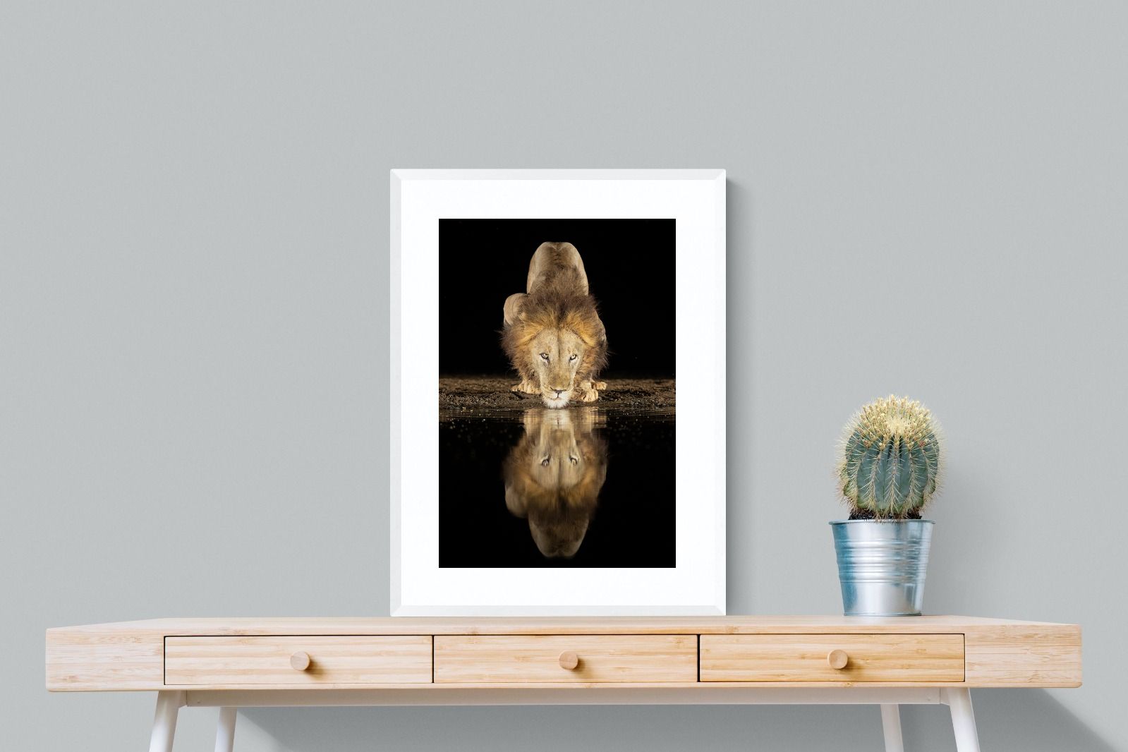 Pixalot Waterhole King