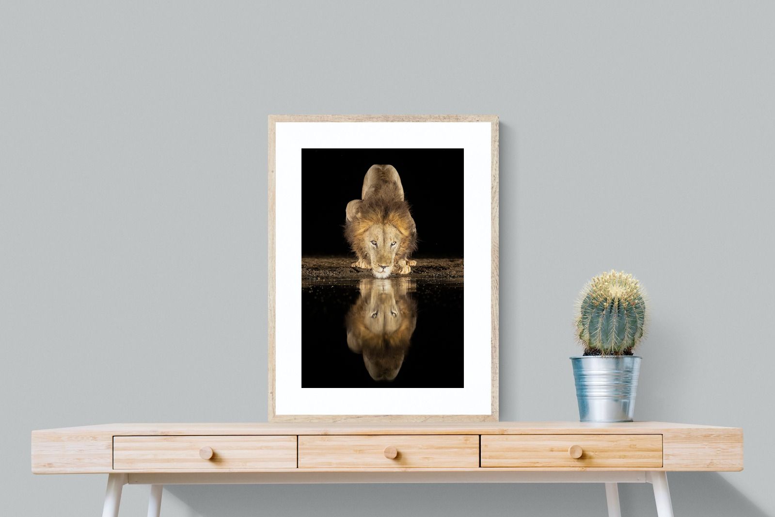 Pixalot Waterhole King