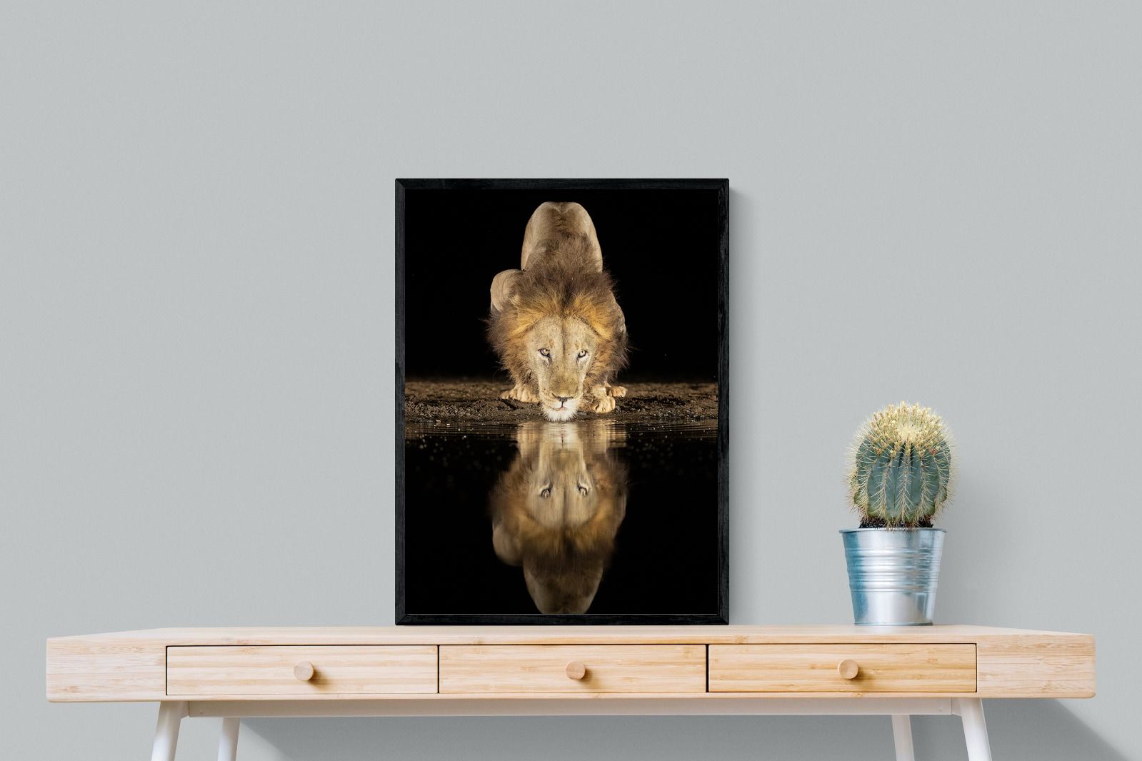 Pixalot Waterhole King