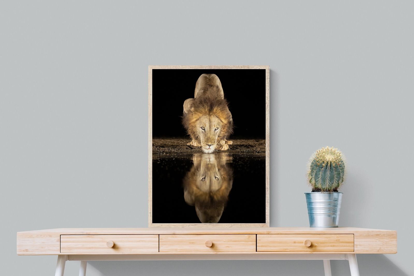 Pixalot Waterhole King