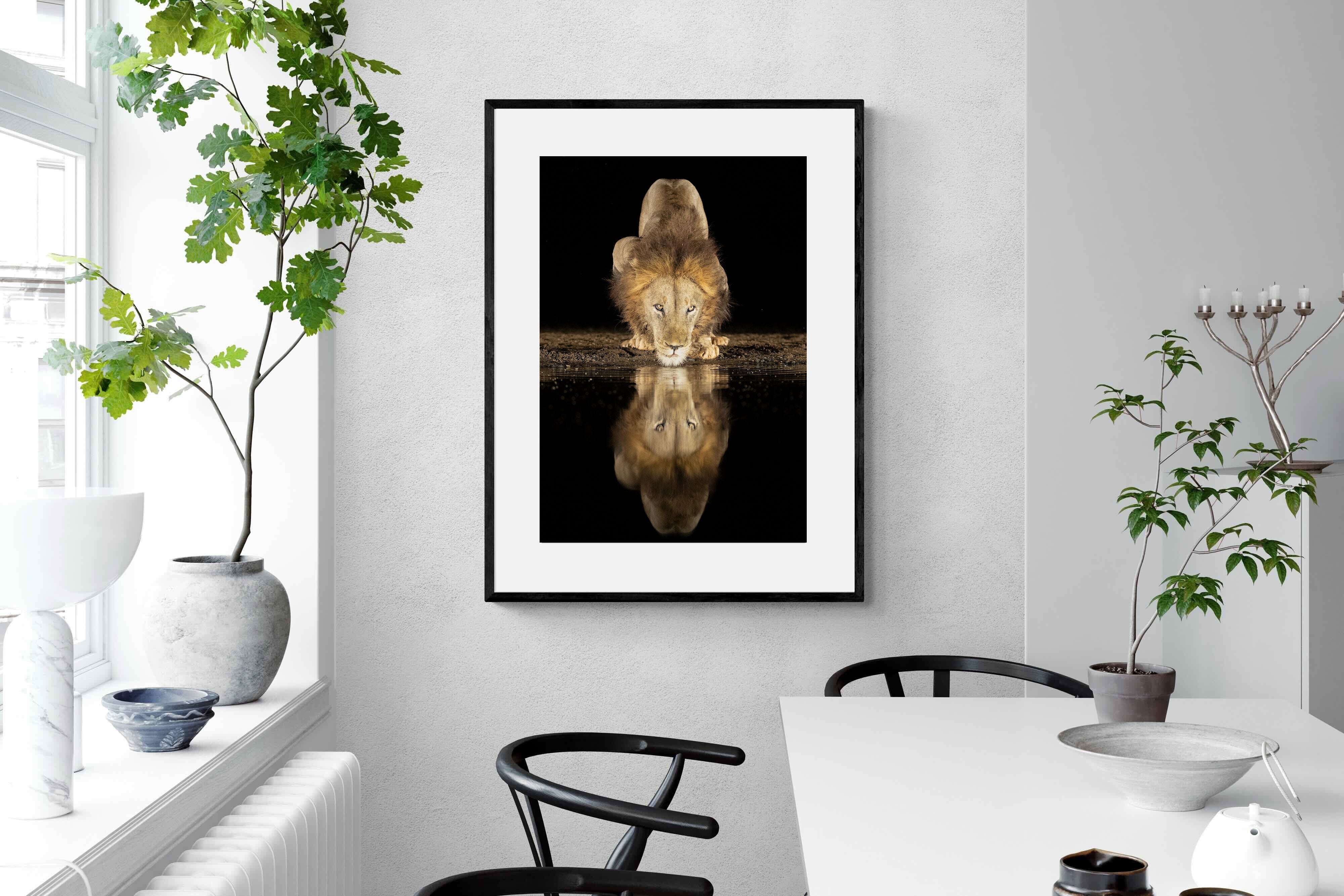 Pixalot Waterhole King