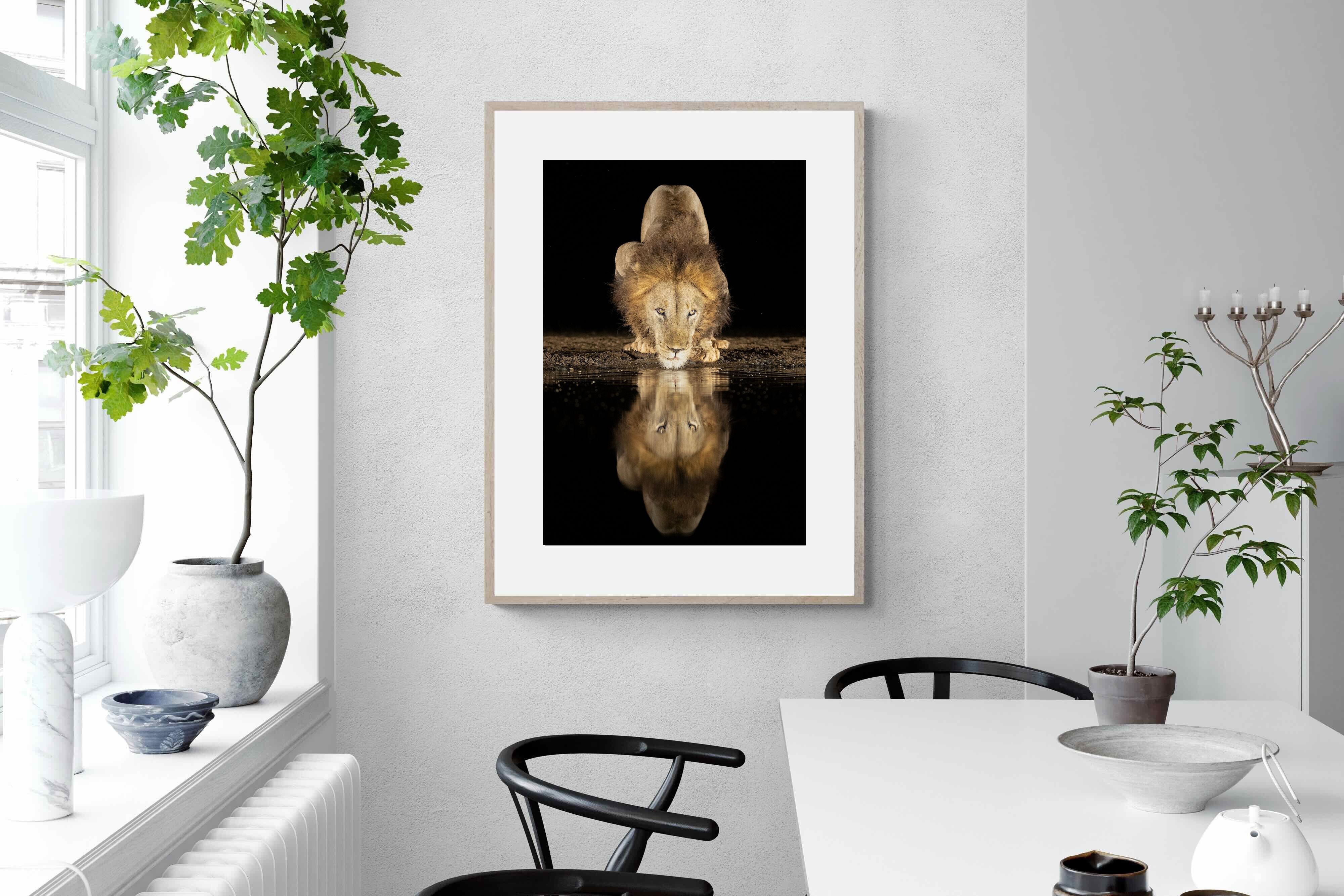 Pixalot Waterhole King