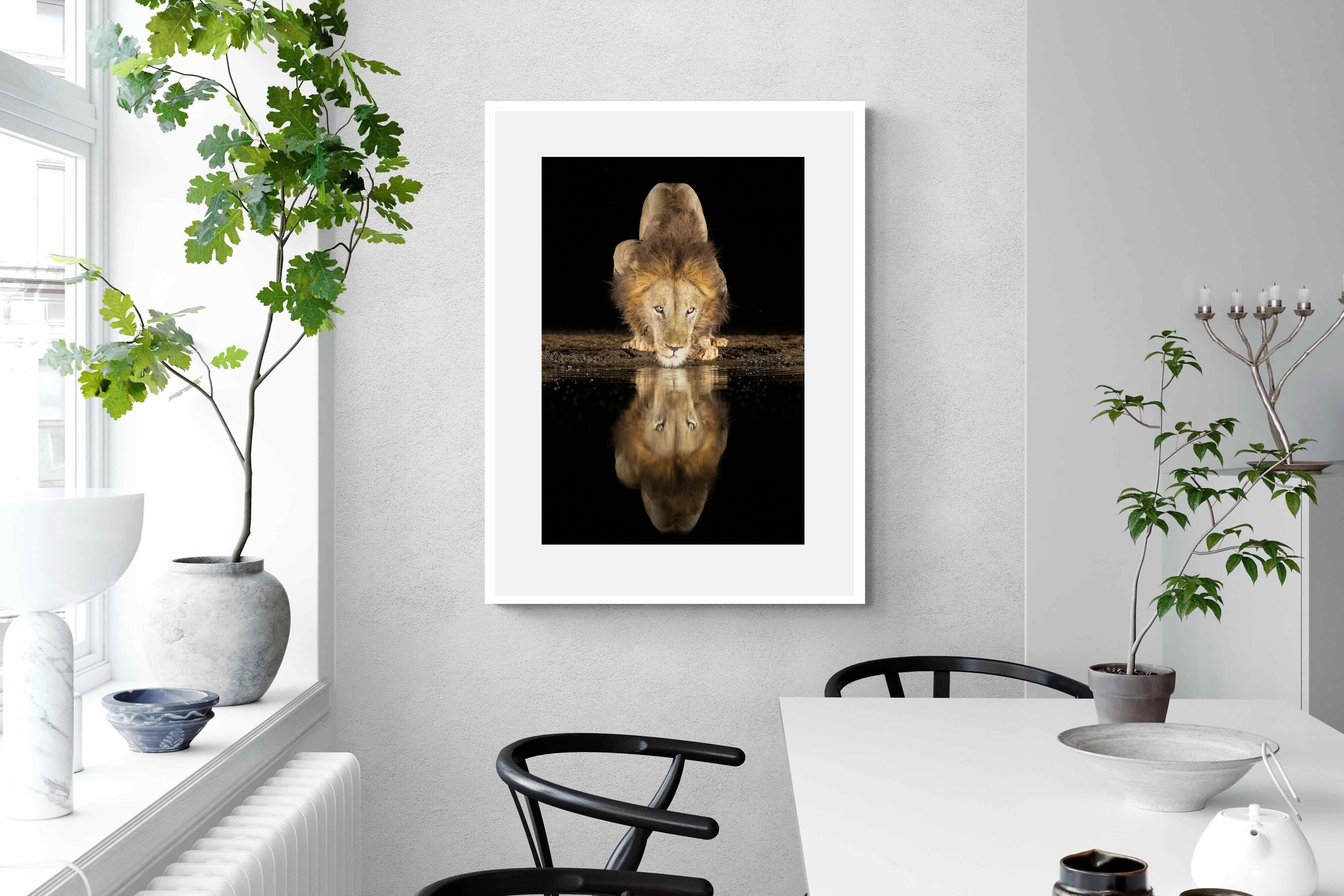 Pixalot Waterhole King