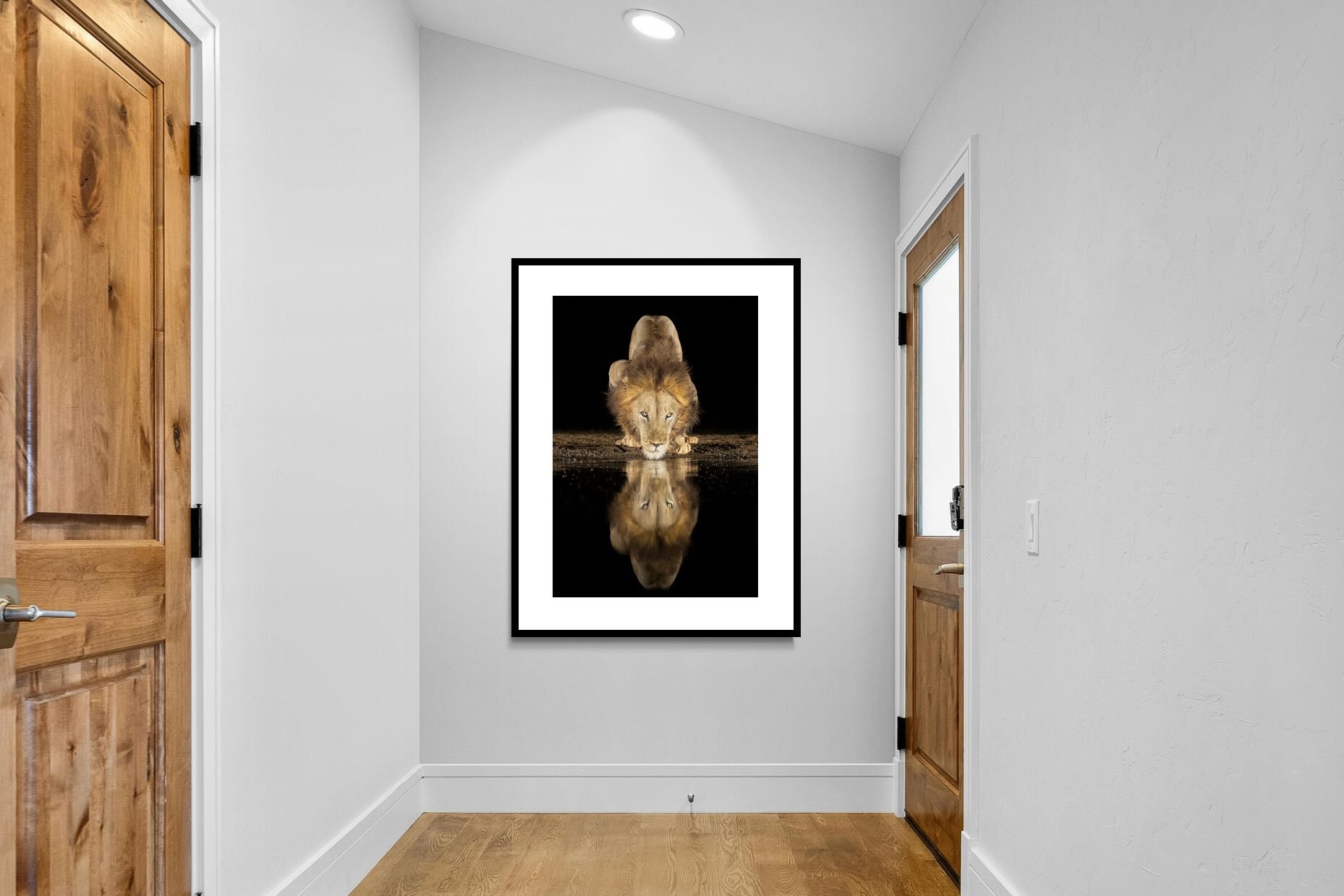 Pixalot Waterhole King