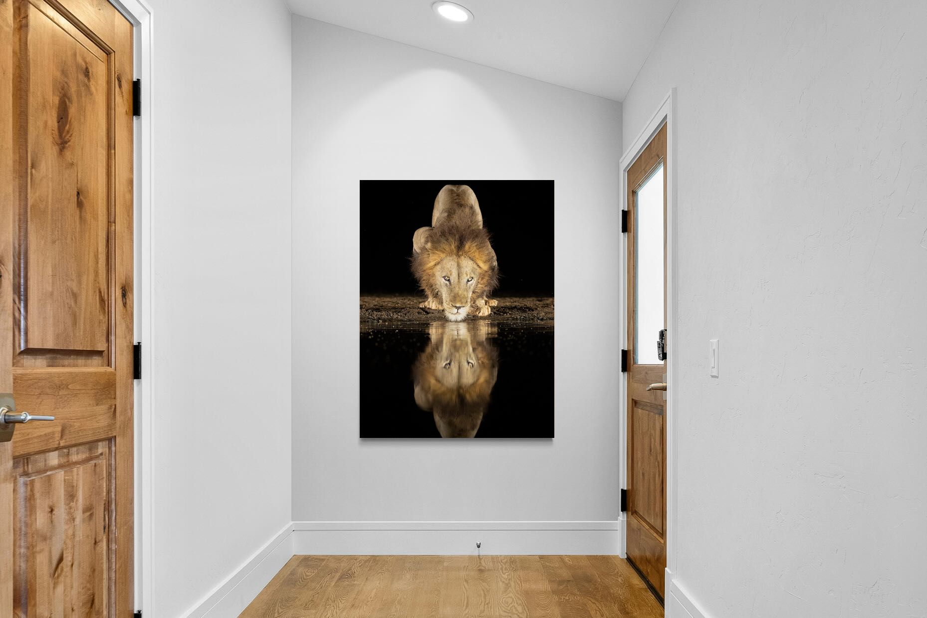 Pixalot Waterhole King