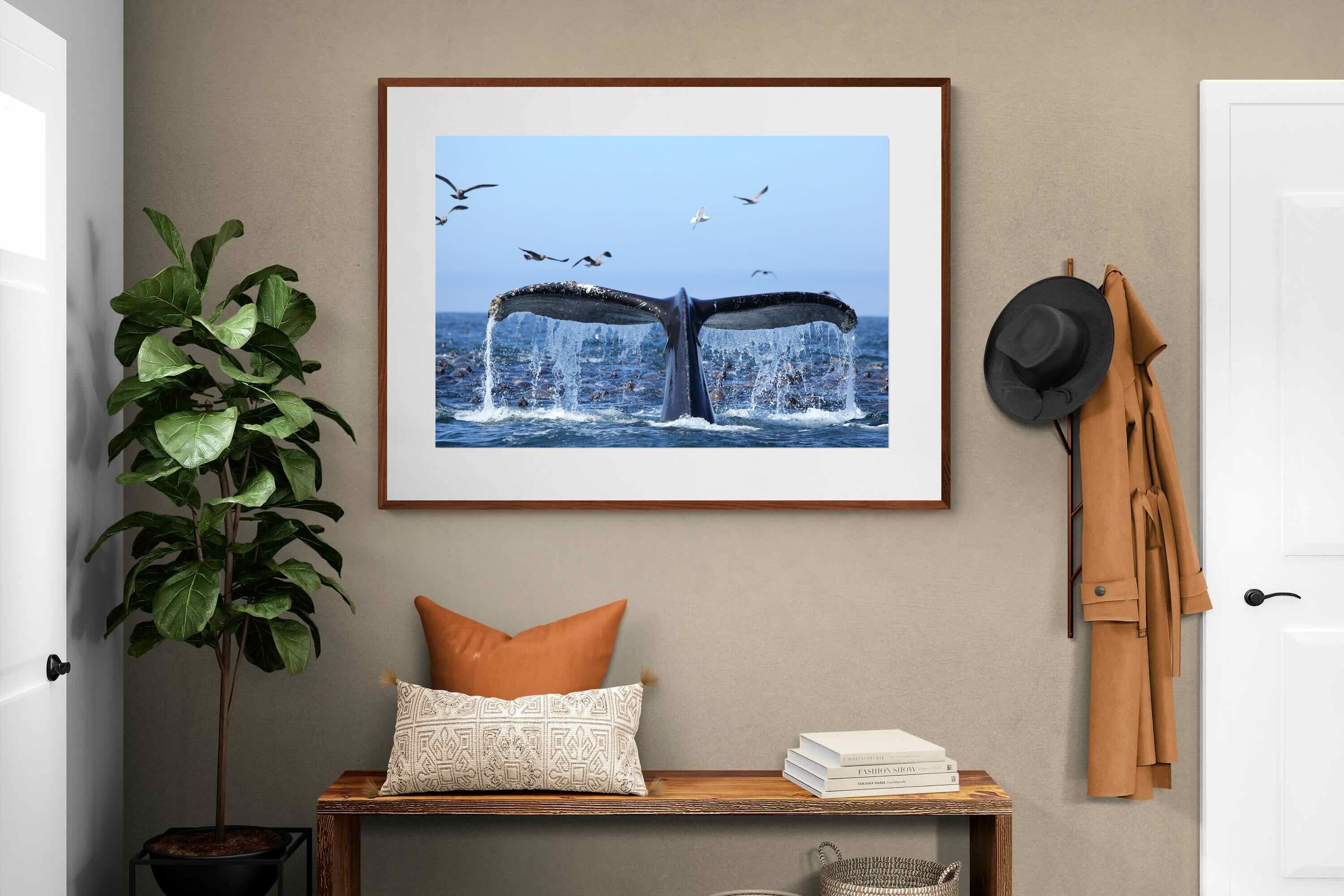 Pixalot ® Whale Tail