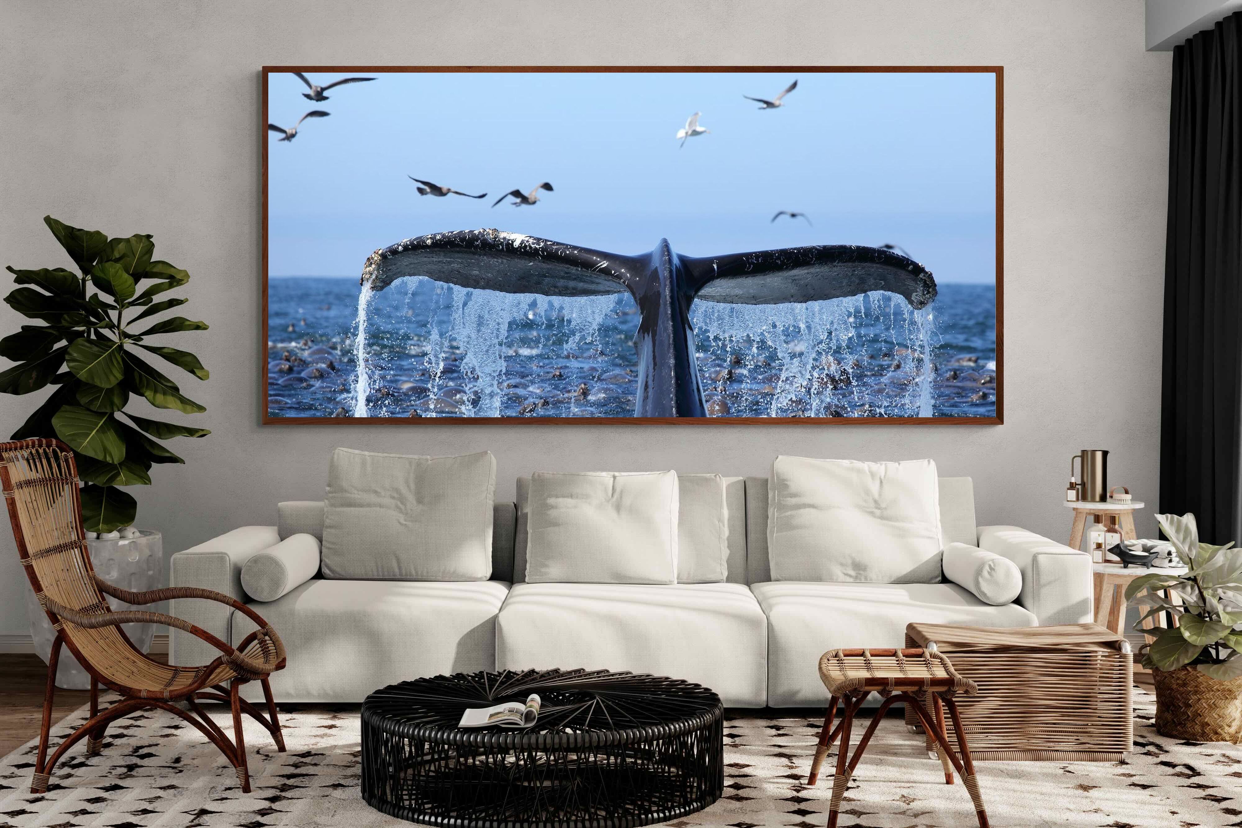 Pixalot ® Whale Tail