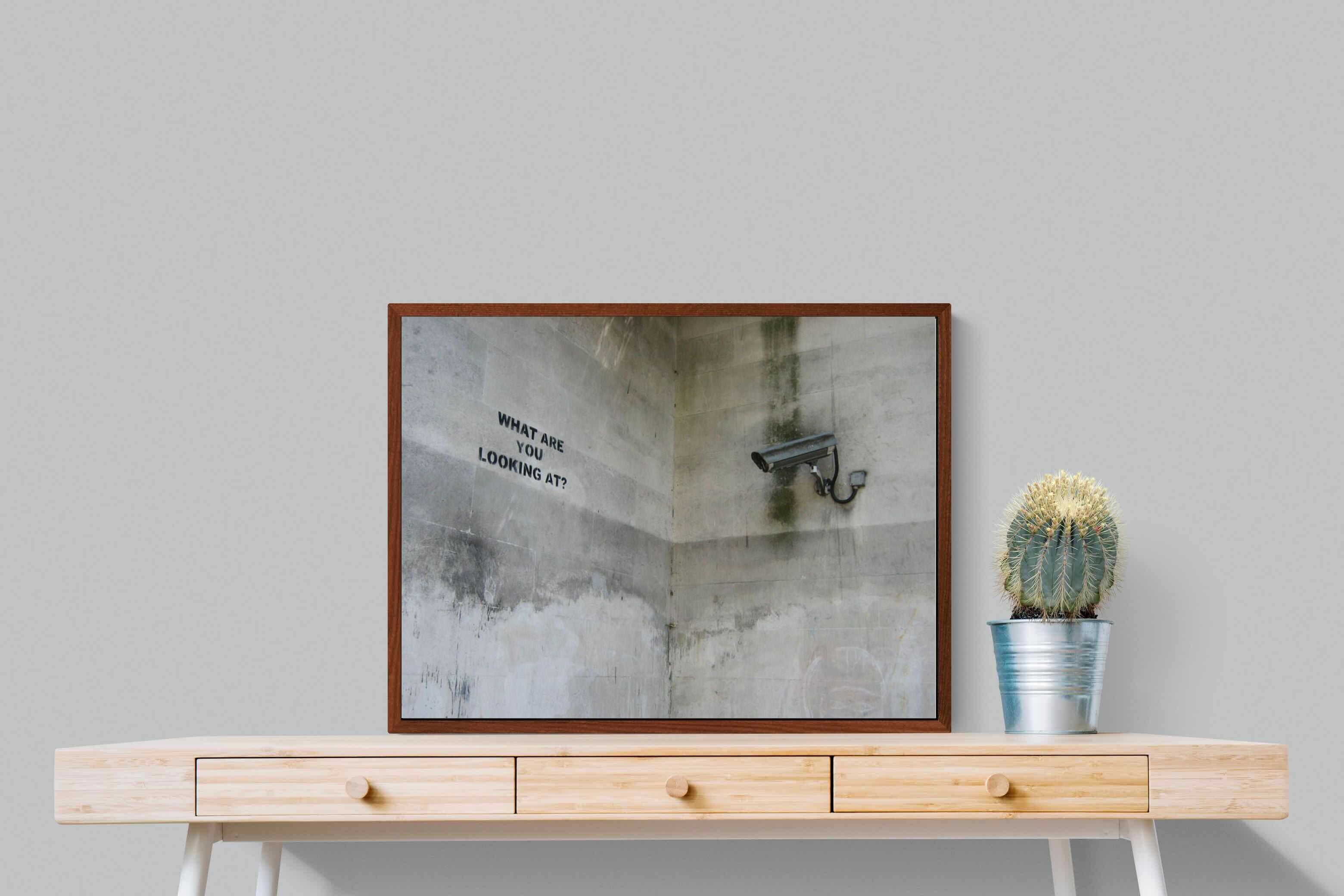 Pixalot What Are You Looking At