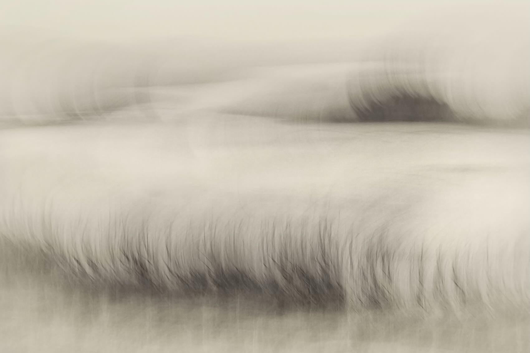 Whispers in the Grass