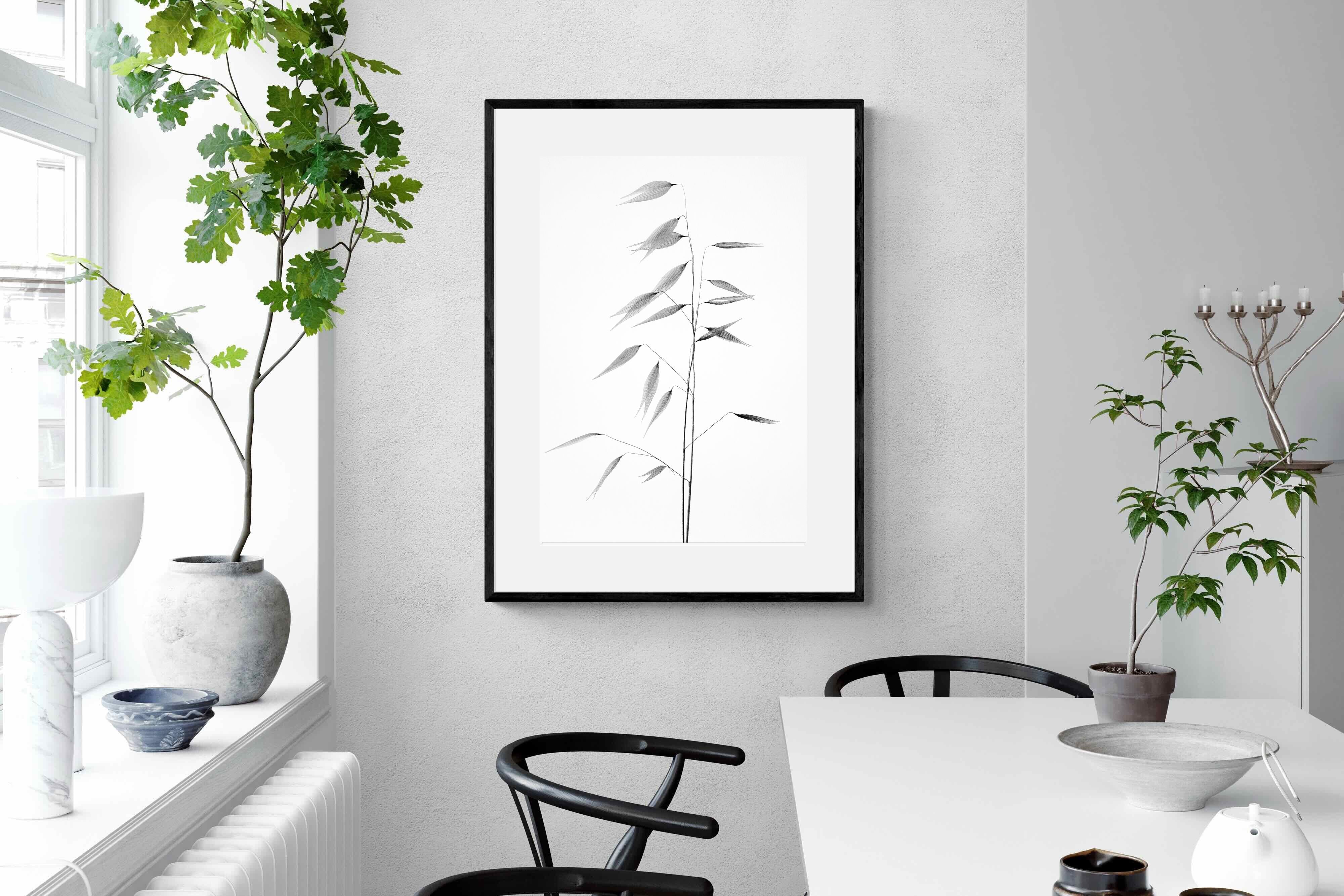 Pixalot Whispers of Oat Grass