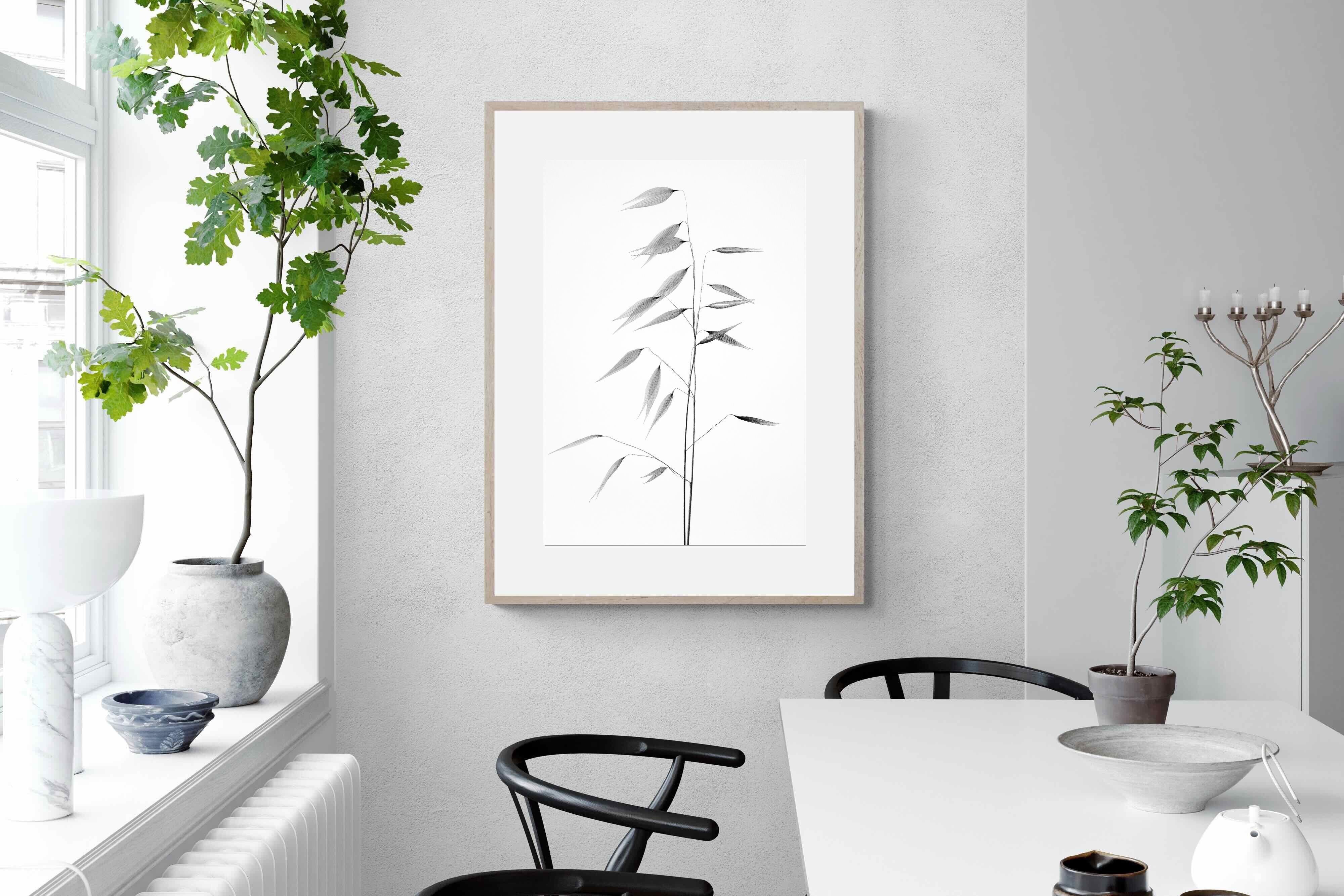 Pixalot Whispers of Oat Grass