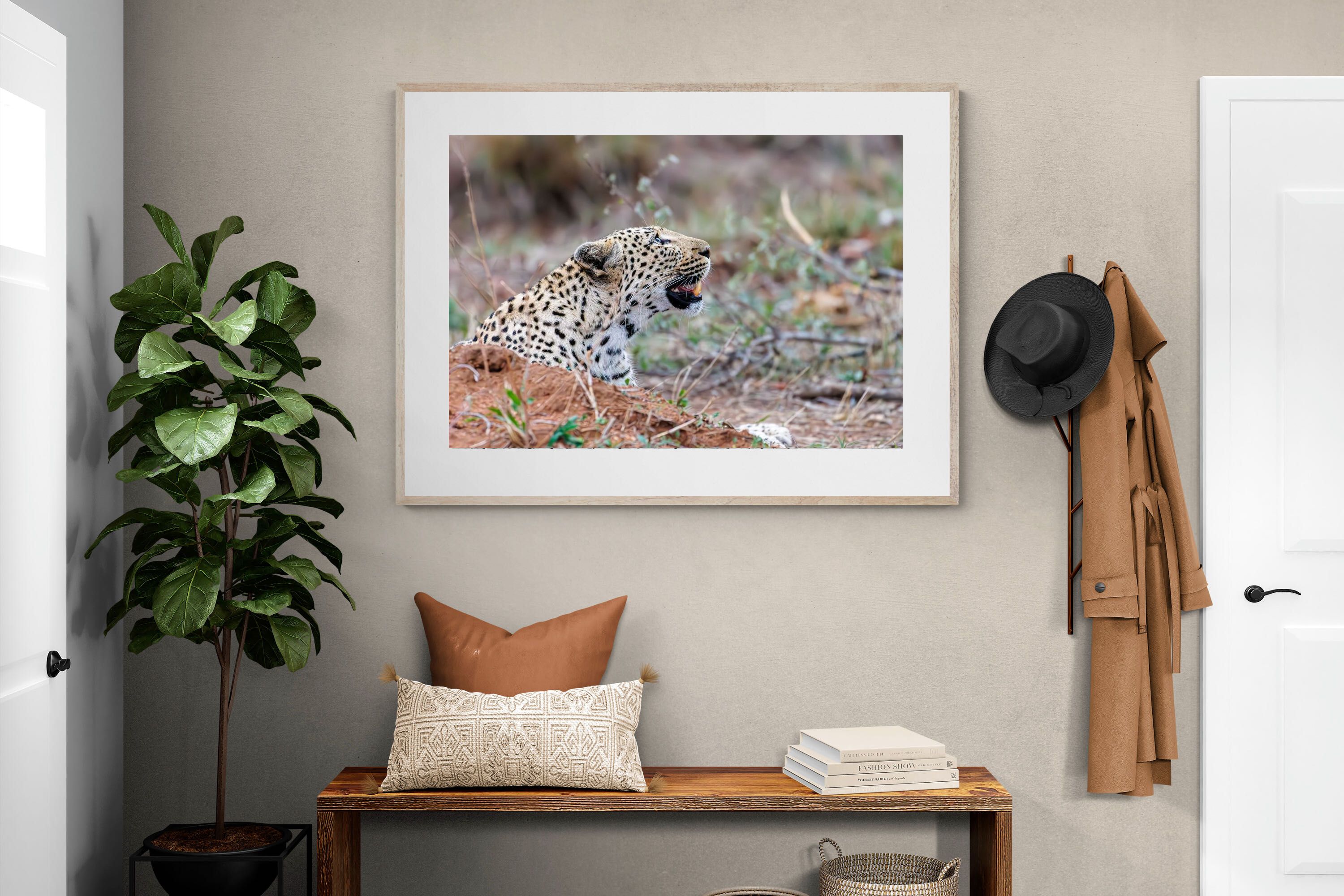 Pixalot Whispers of the Wild