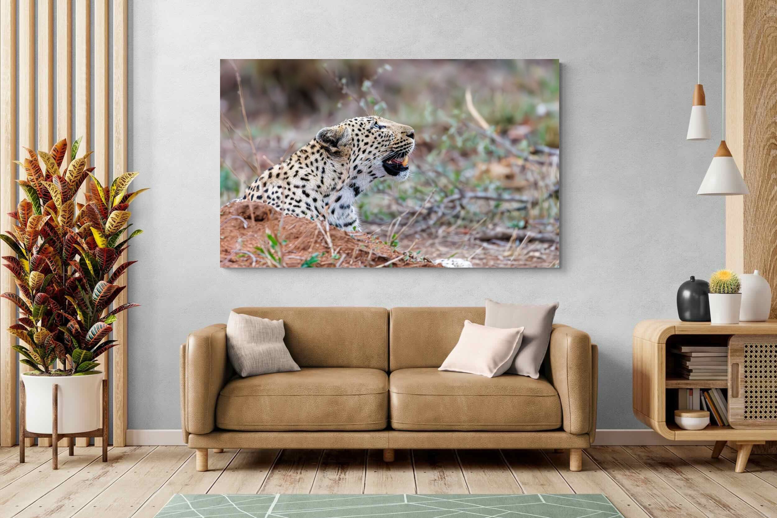 Pixalot Whispers of the Wild