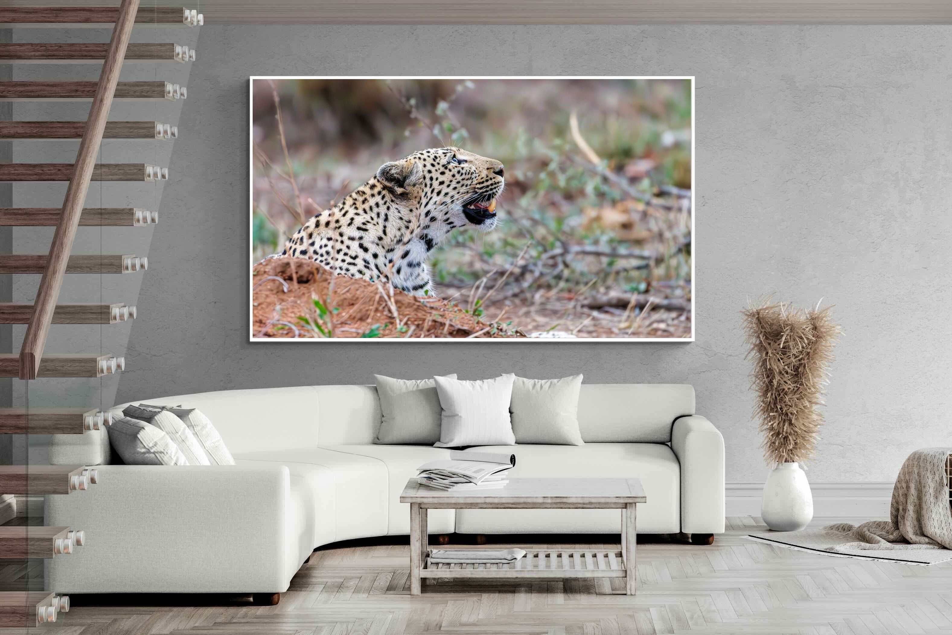 Pixalot Whispers of the Wild