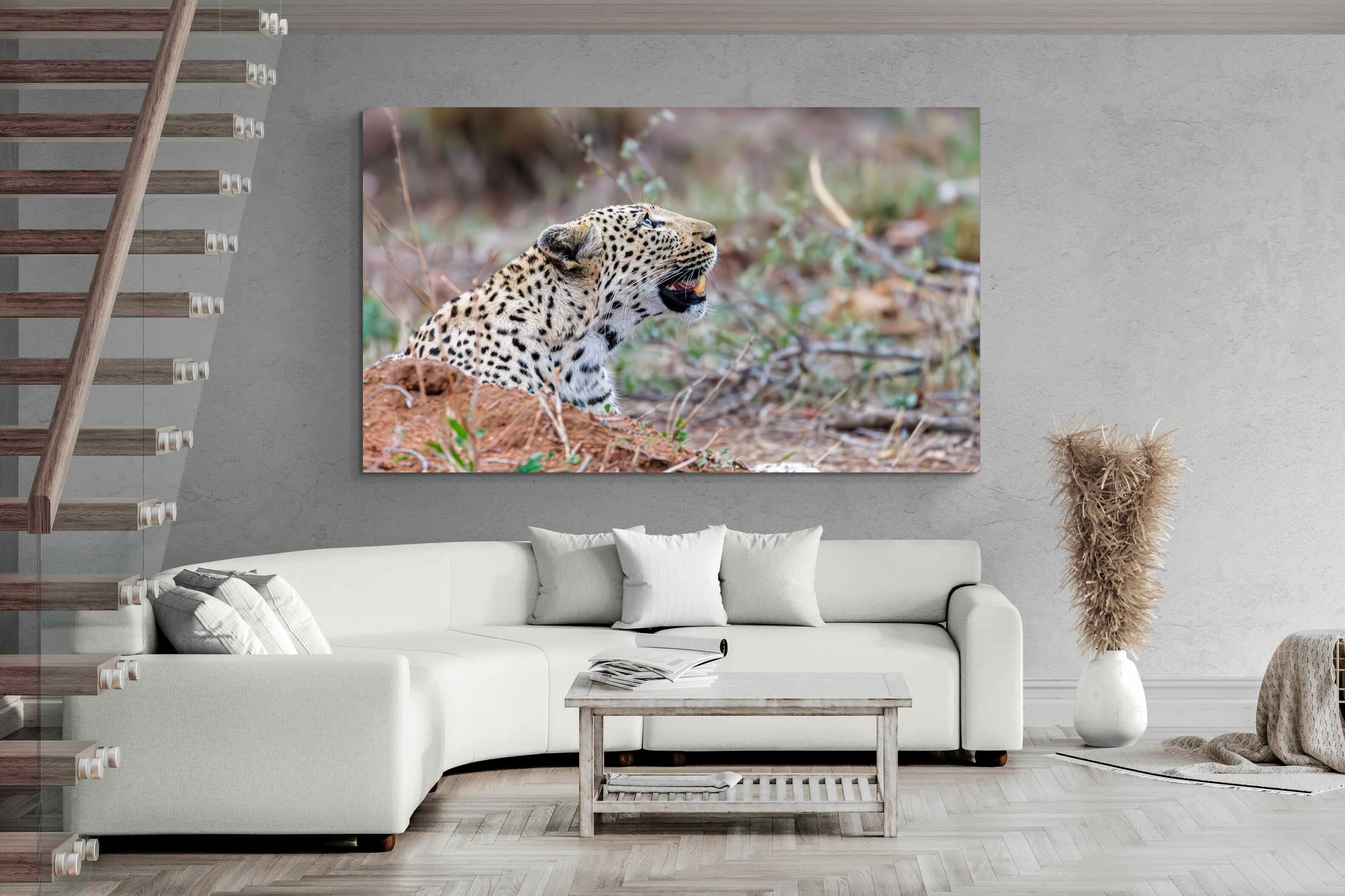 Pixalot Whispers of the Wild