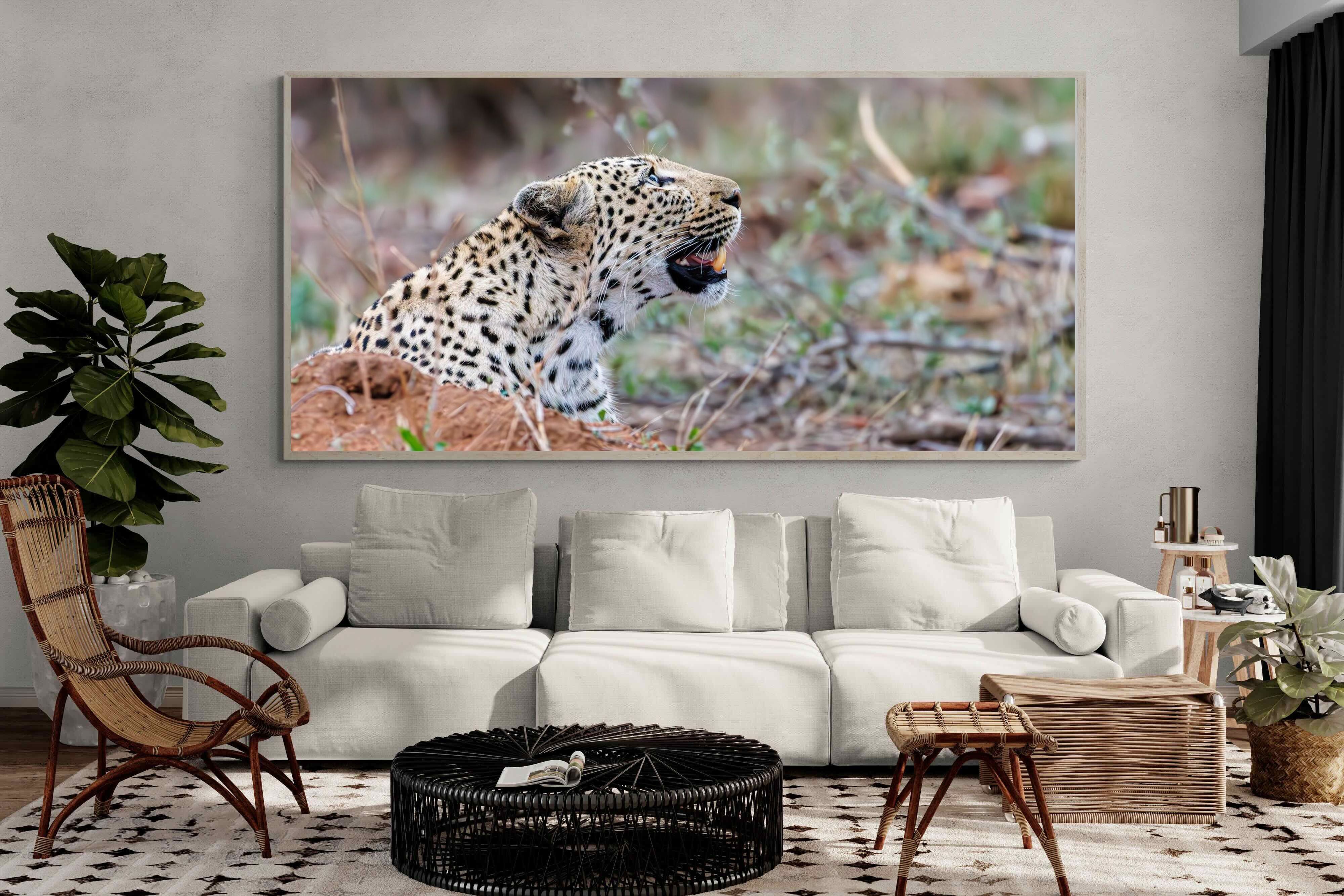 Pixalot Whispers of the Wild