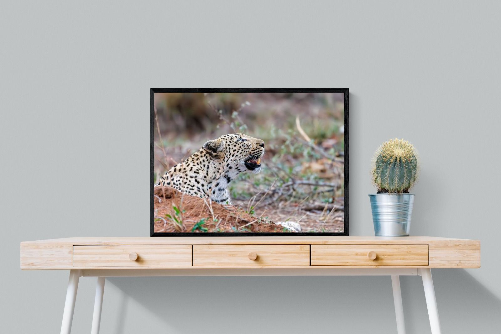 Pixalot Whispers of the Wild