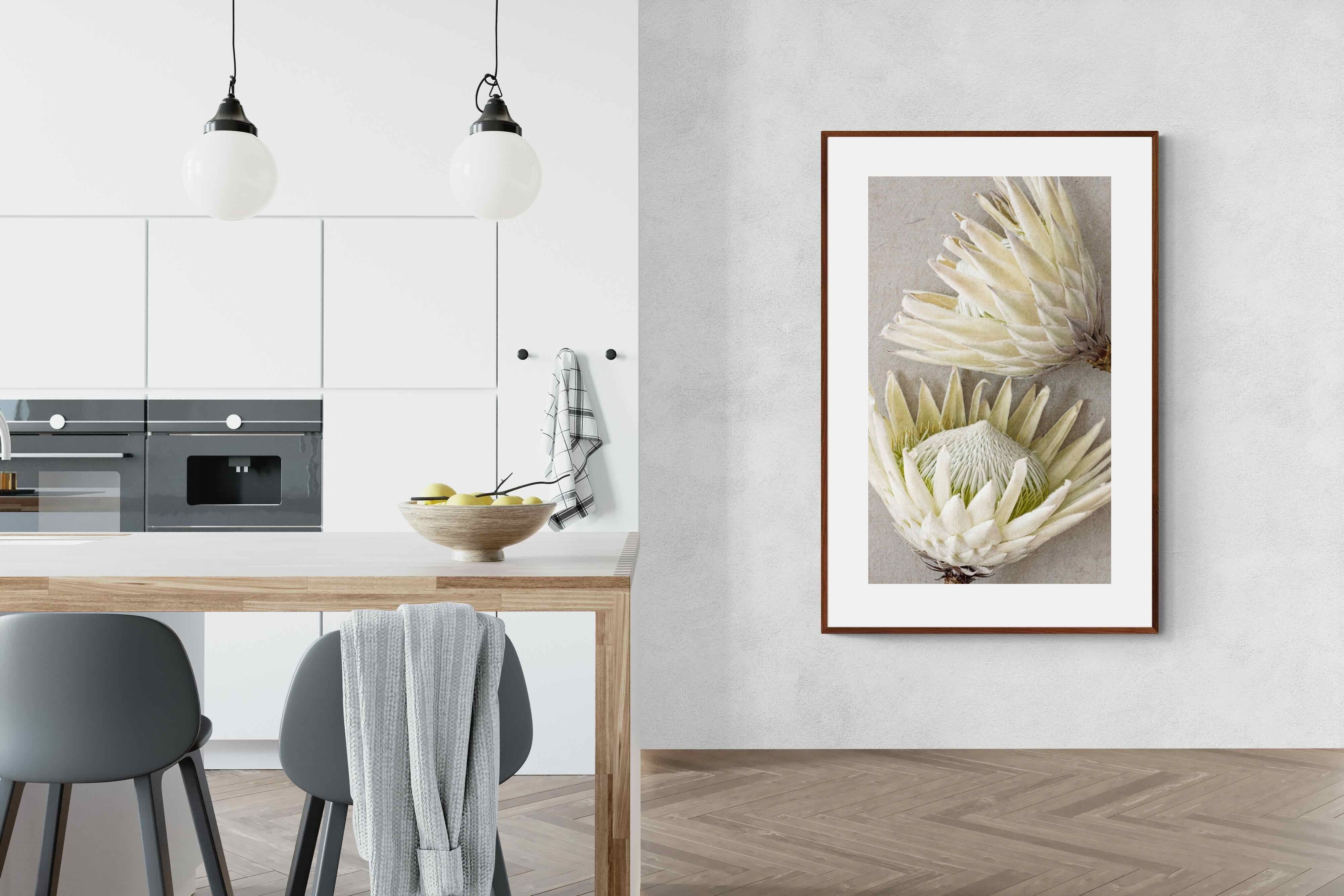 Pixalot White King Protea Pair