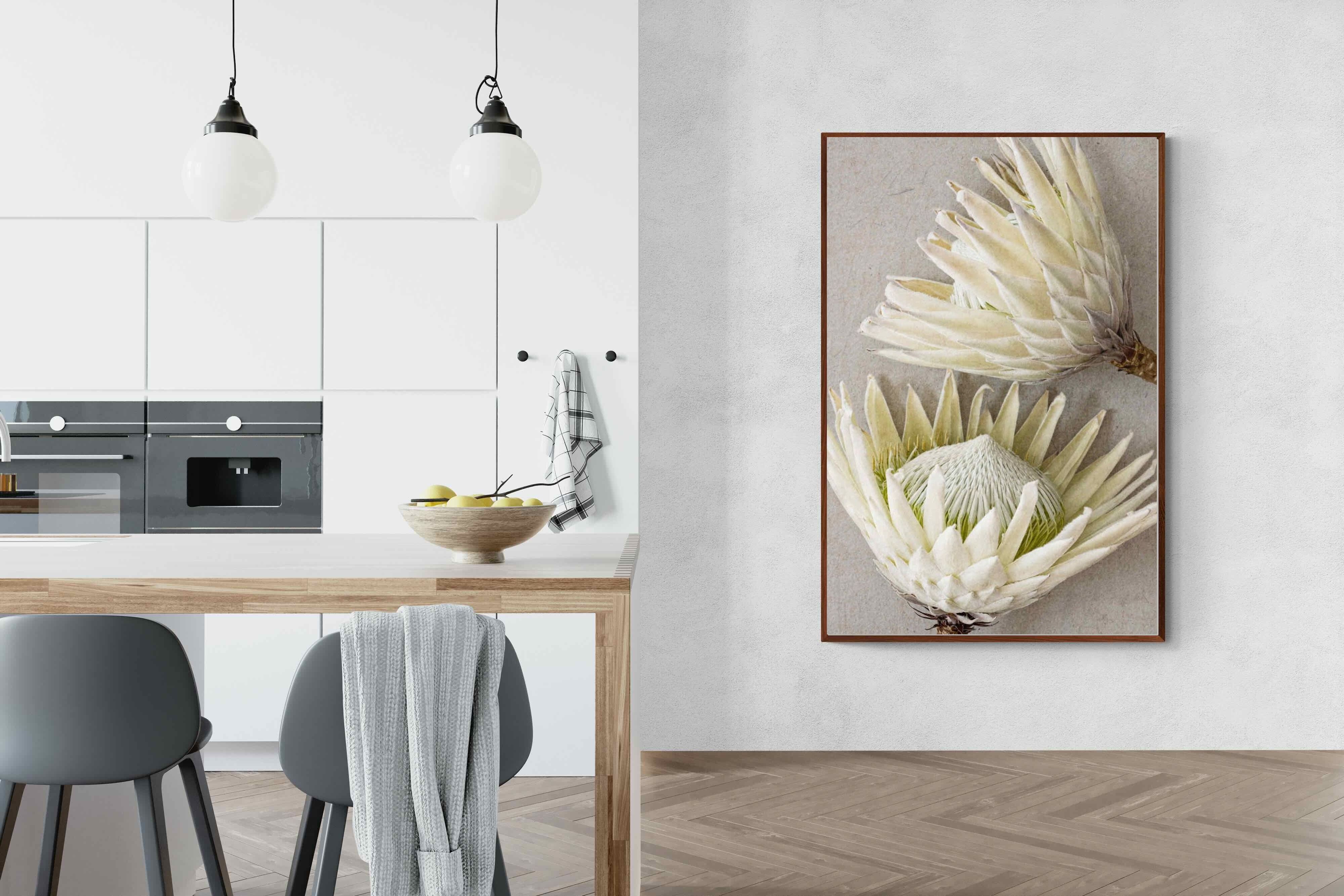 Pixalot White King Protea Pair