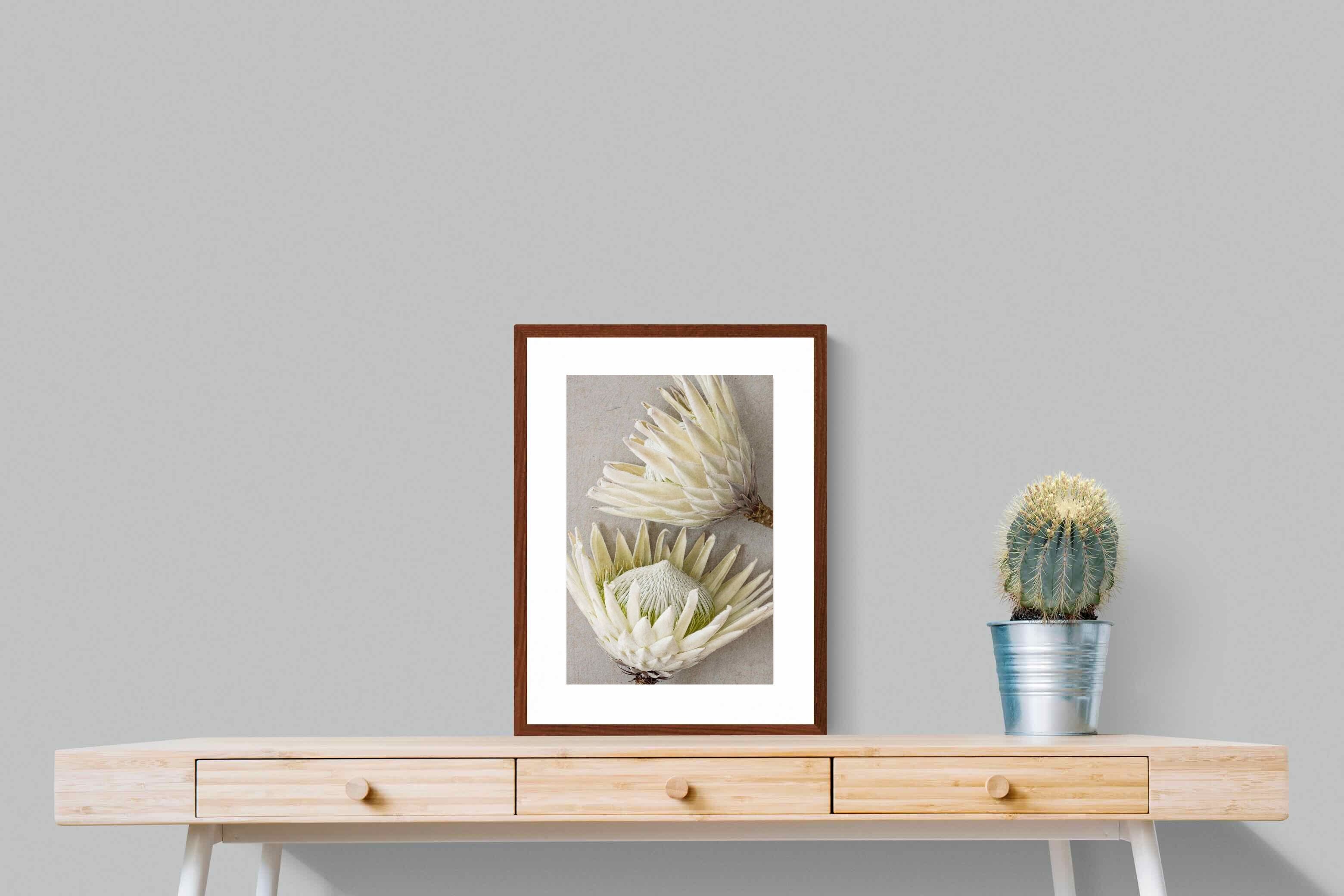 Pixalot White King Protea Pair