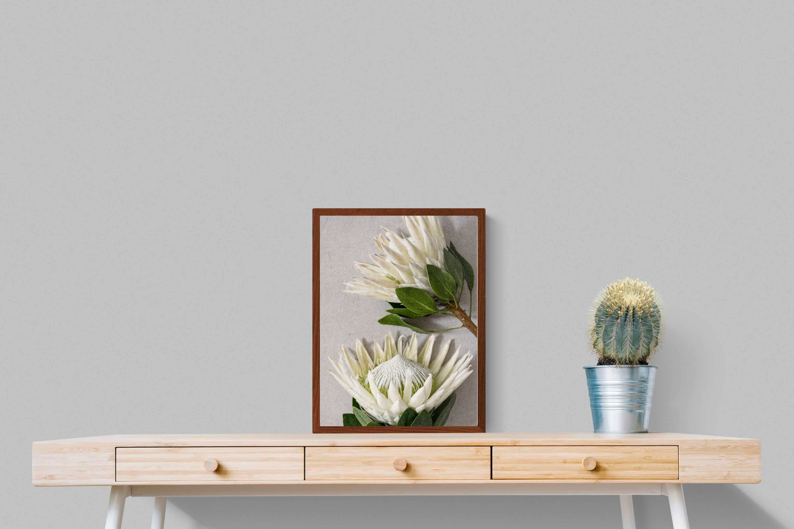 Pixalot White King Protea Pair